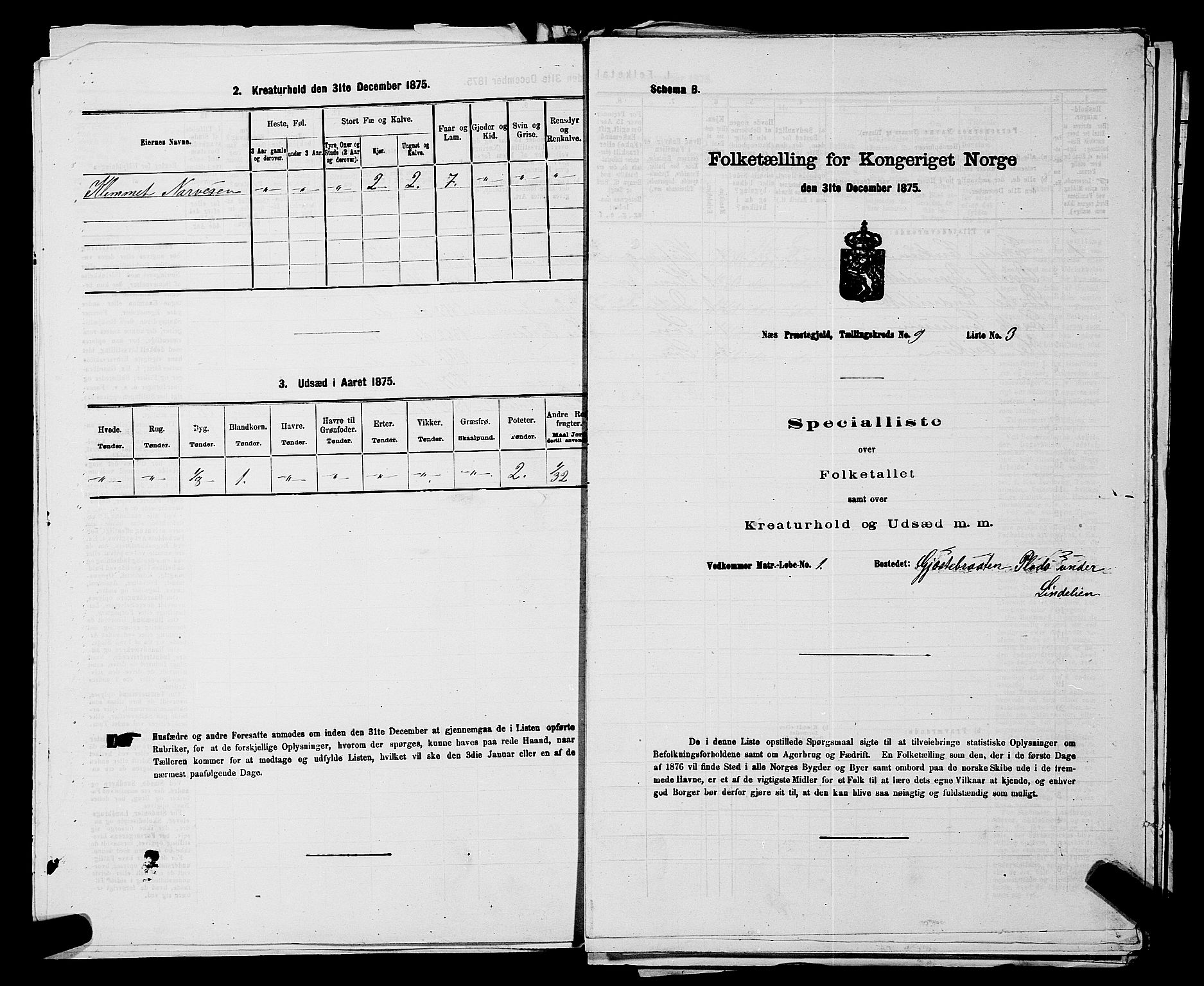 SAKO, 1875 census for 0616P Nes, 1875, p. 1410