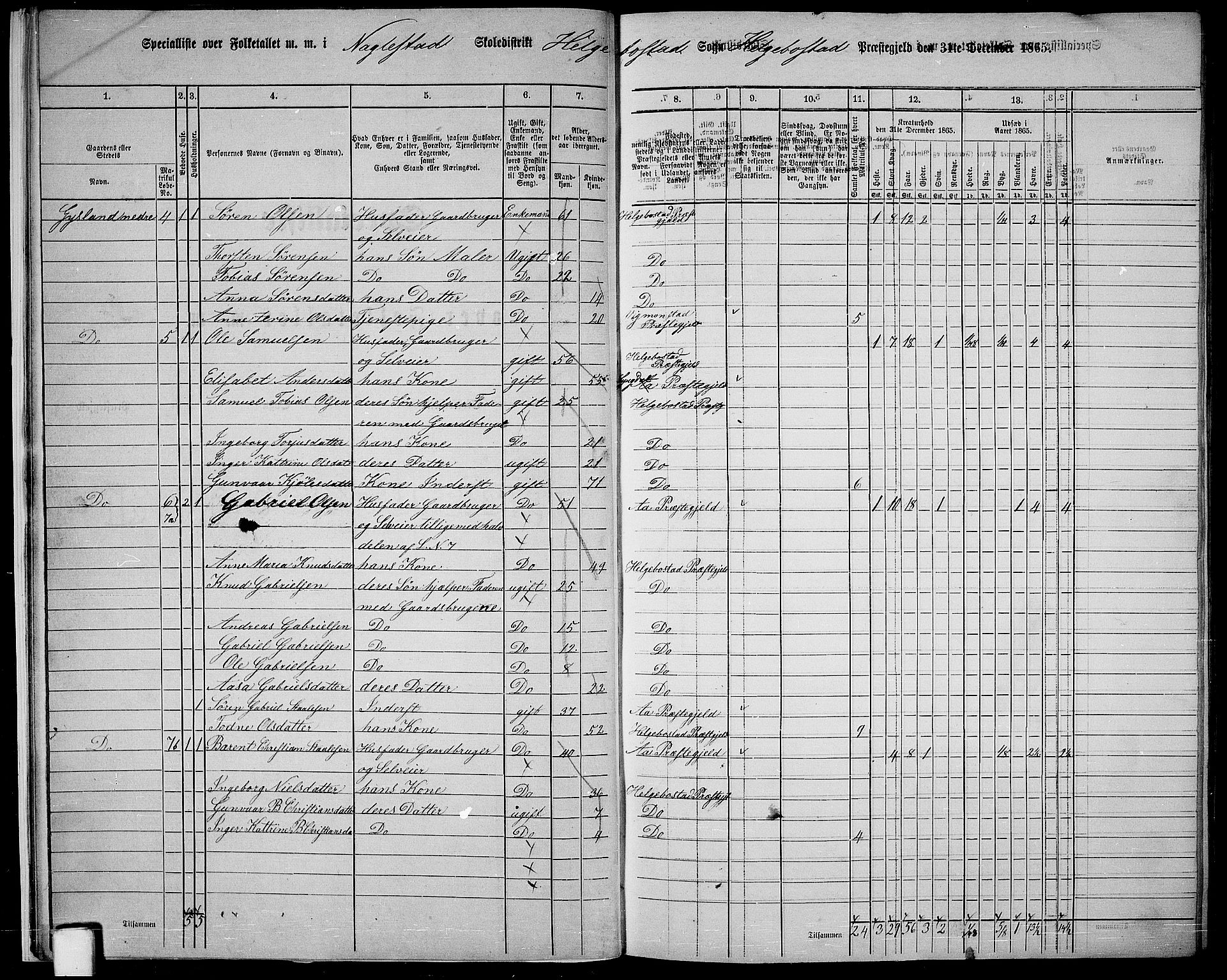 RA, 1865 census for Hægebostad, 1865, p. 13