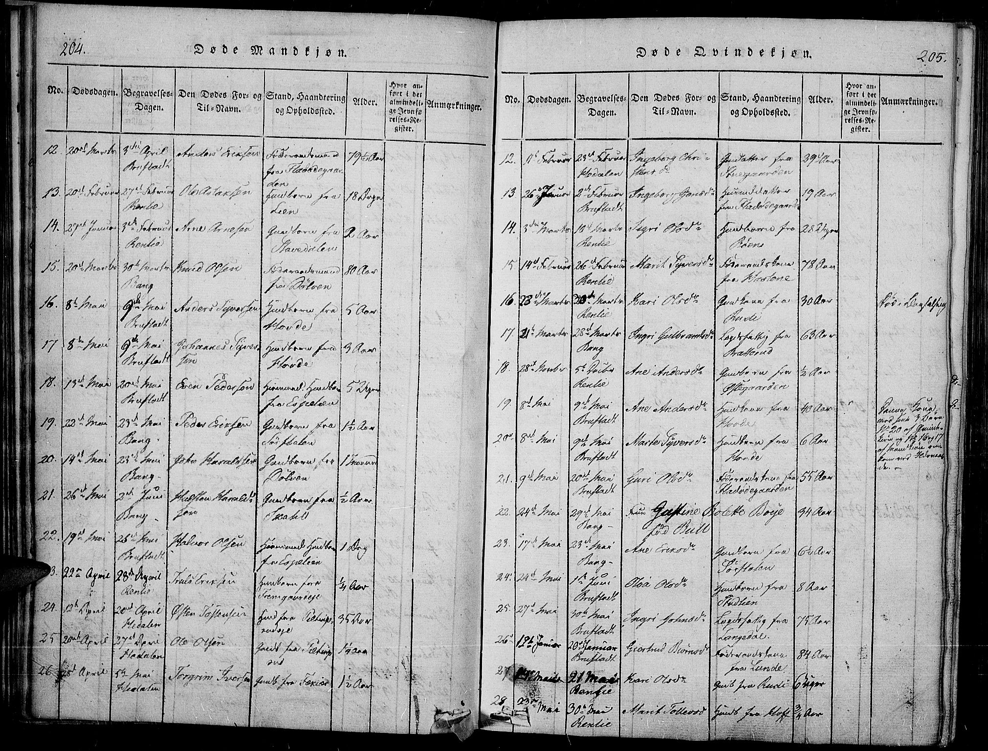 Sør-Aurdal prestekontor, SAH/PREST-128/H/Ha/Haa/L0003: Parish register (official) no. 3, 1825-1840, p. 204-205