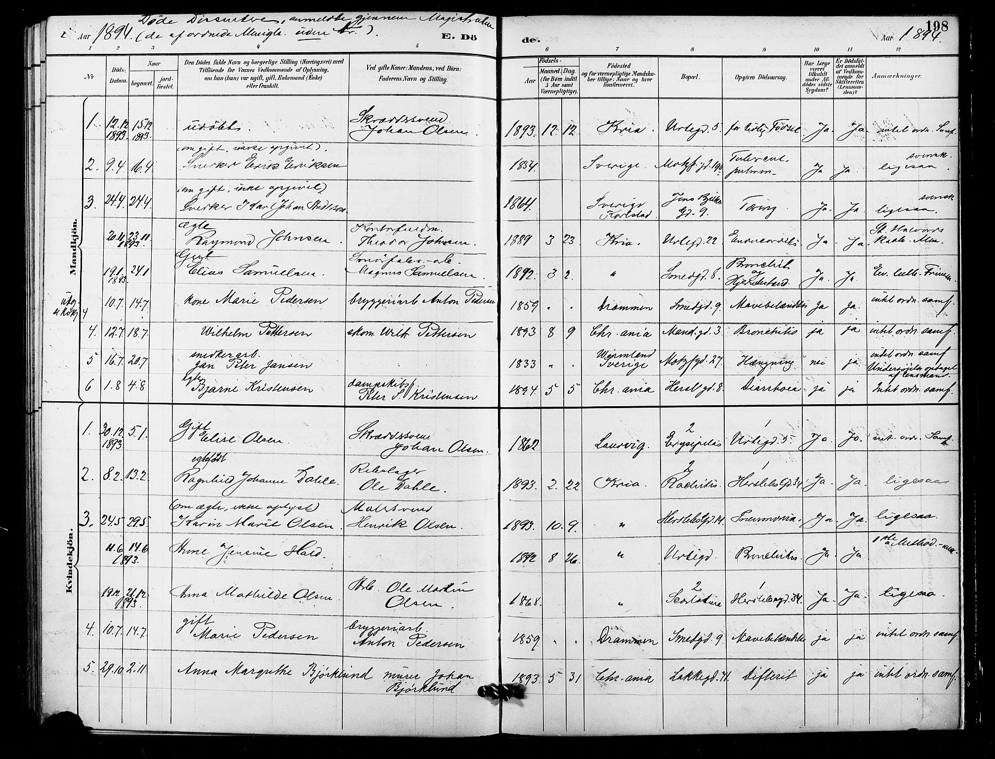 Grønland prestekontor Kirkebøker, SAO/A-10848/F/Fa/L0010: Parish register (official) no. 10, 1891-1898, p. 198
