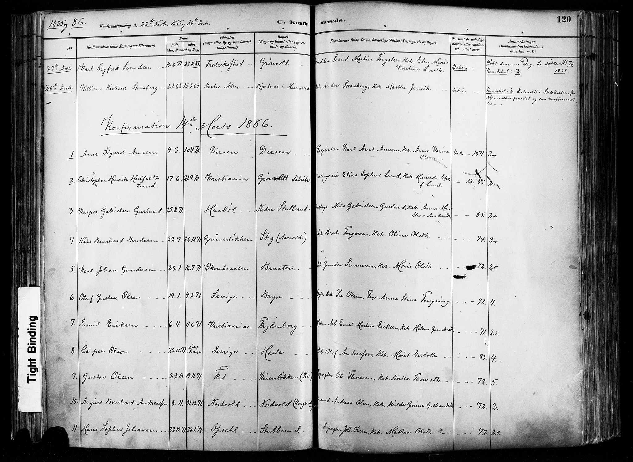 Østre Aker prestekontor Kirkebøker, SAO/A-10840/F/Fa/L0008: Parish register (official) no. I 8, 1883-1894, p. 120