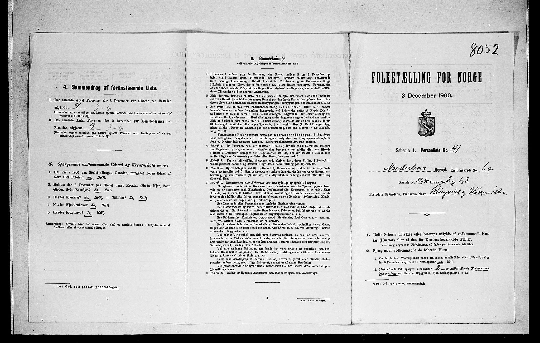 RA, 1900 census for Norderhov, 1900, p. 262