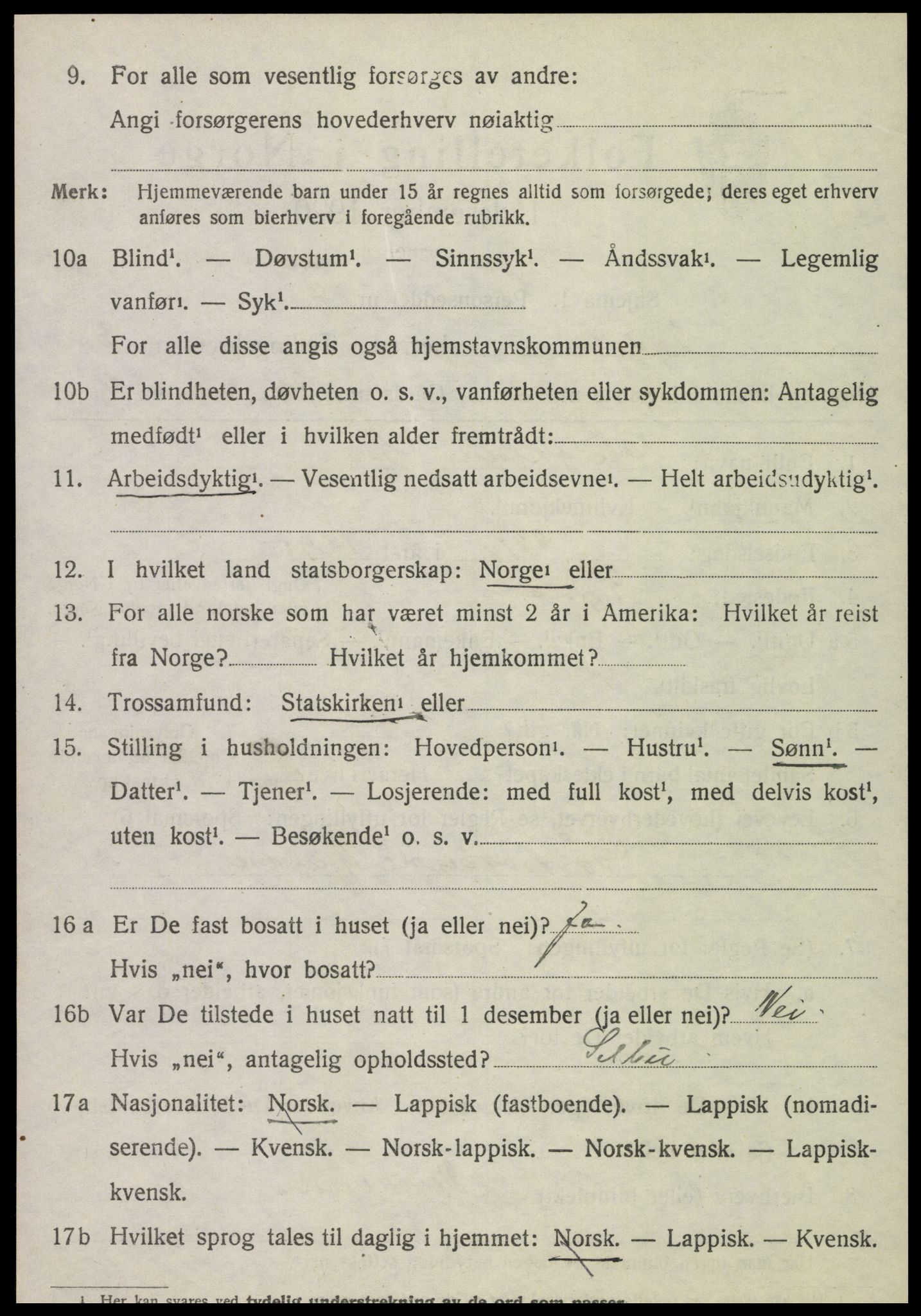 SAT, 1920 census for Tydal, 1920, p. 890