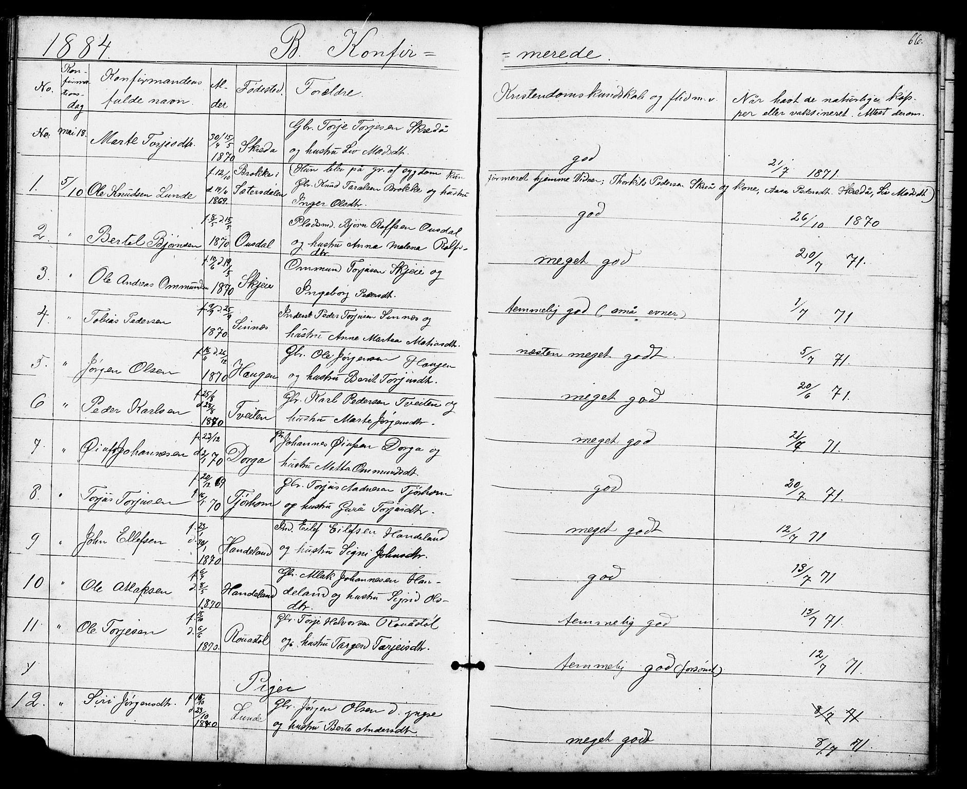 Sirdal sokneprestkontor, AV/SAK-1111-0036/F/Fb/Fba/L0001: Parish register (copy) no. B 1, 1872-1905, p. 66