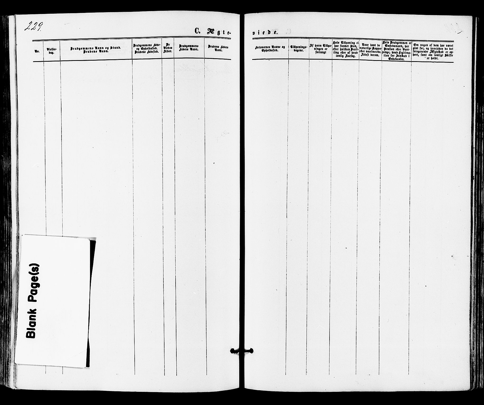 Tønsberg kirkebøker, SAKO/A-330/F/Fa/L0009: Parish register (official) no. I 9, 1865-1873, p. 229