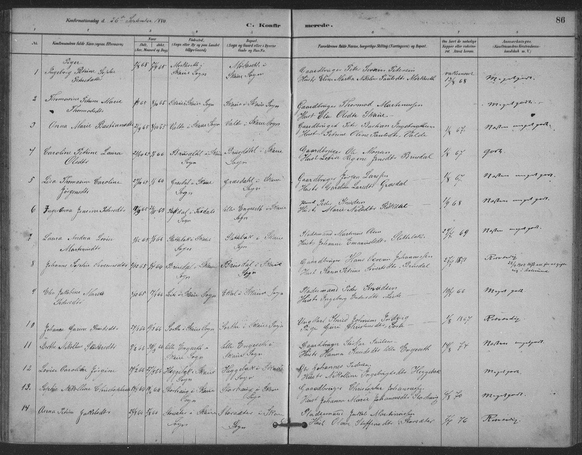 Ministerialprotokoller, klokkerbøker og fødselsregistre - Møre og Romsdal, AV/SAT-A-1454/524/L0356: Parish register (official) no. 524A08, 1880-1899, p. 86