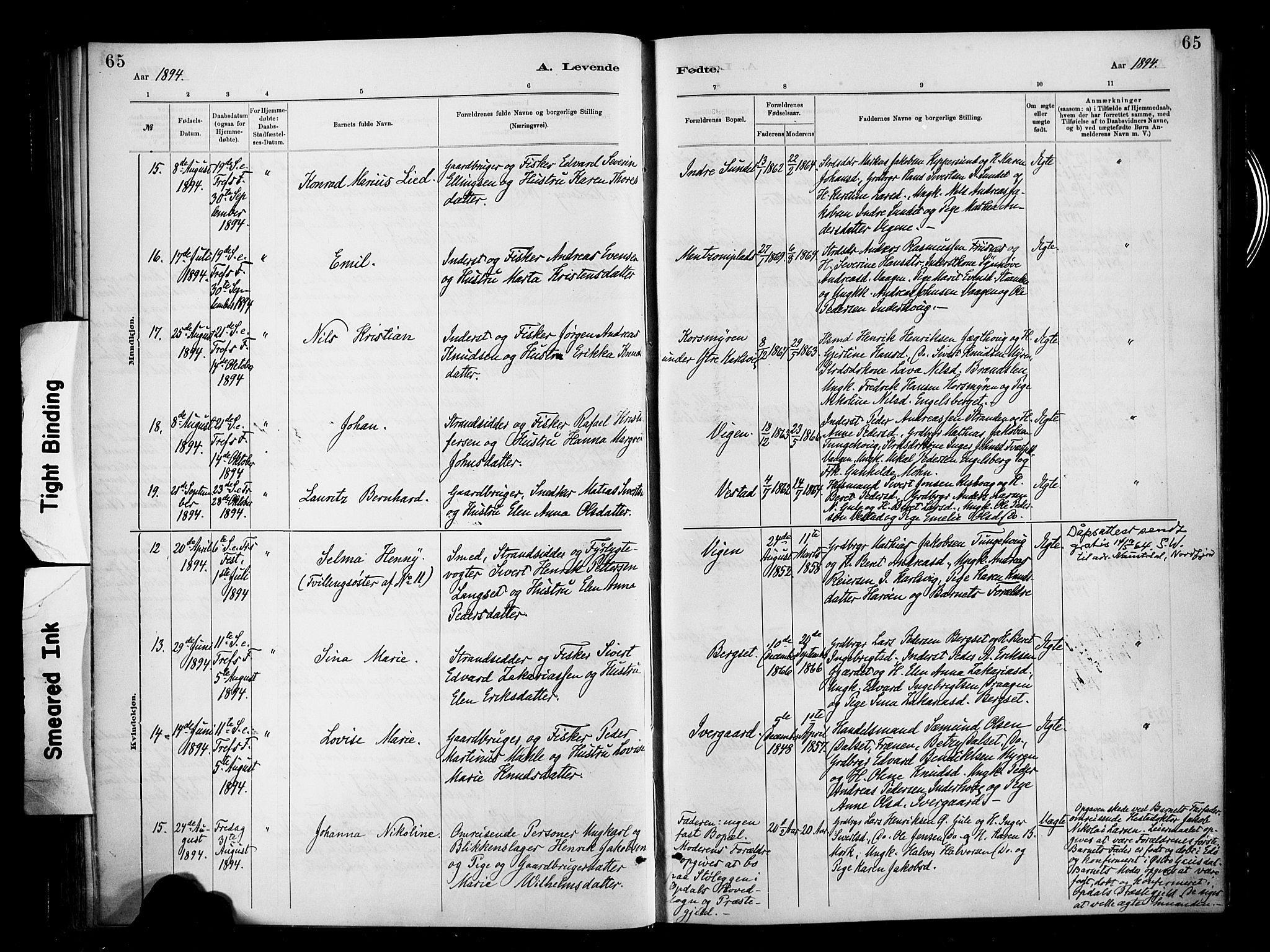 Ministerialprotokoller, klokkerbøker og fødselsregistre - Møre og Romsdal, AV/SAT-A-1454/566/L0769: Parish register (official) no. 566A08, 1881-1903, p. 65