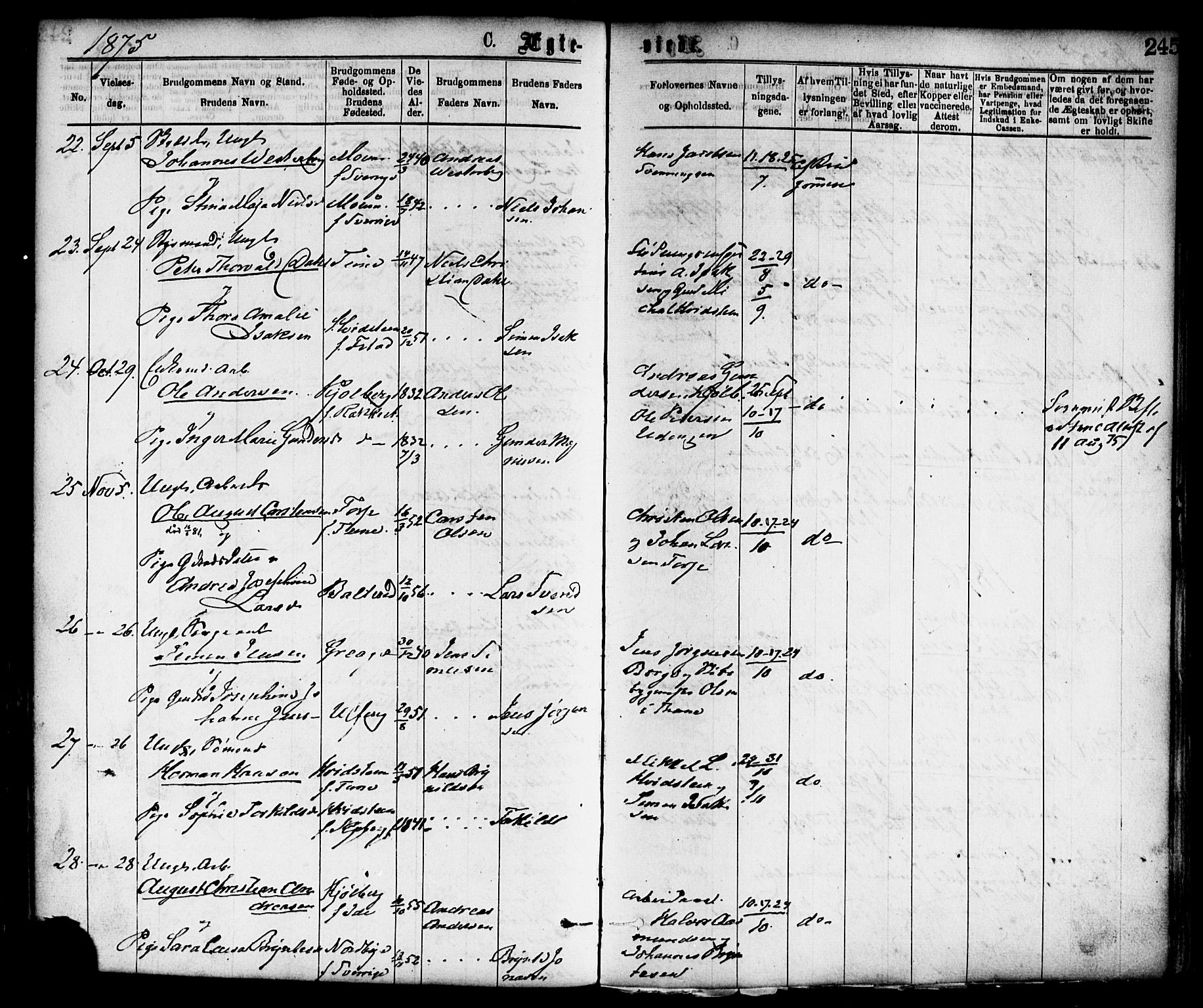 Borge prestekontor Kirkebøker, SAO/A-10903/F/Fa/L0007: Parish register (official) no. I 7, 1875-1886, p. 245