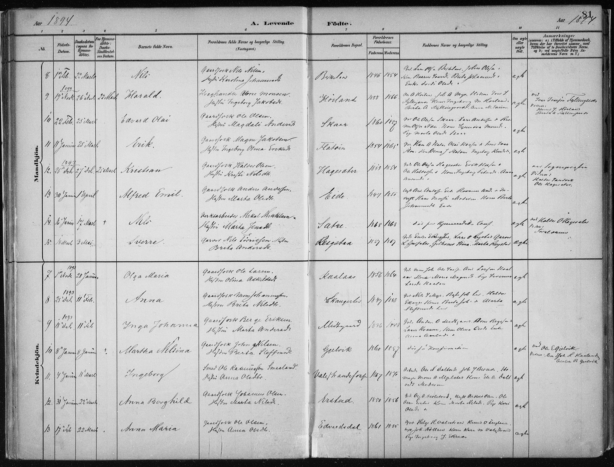 Hamre sokneprestembete, AV/SAB-A-75501/H/Ha/Haa/Haab/L0001: Parish register (official) no. B  1, 1882-1905, p. 81