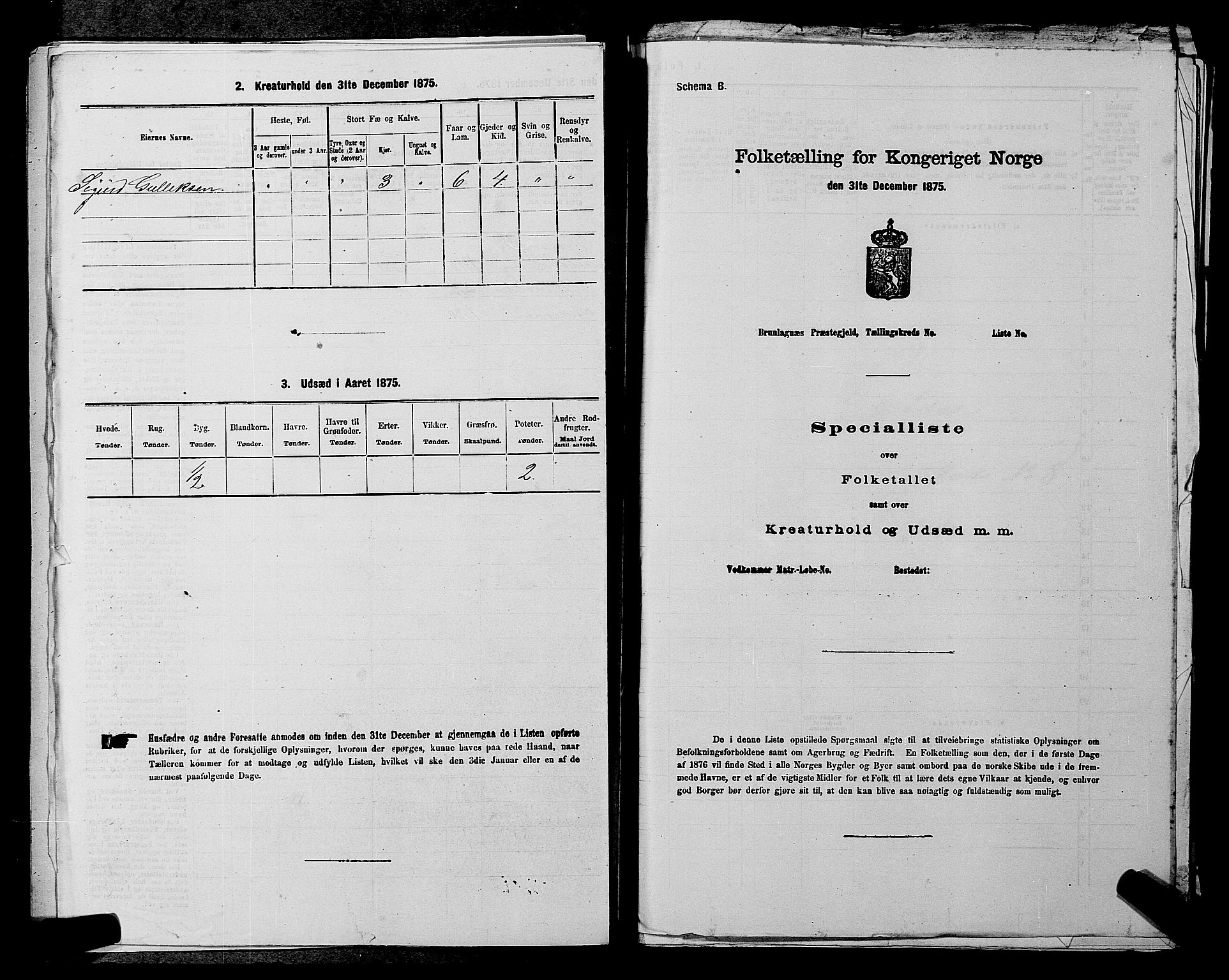 SAKO, 1875 census for 0827P Hjartdal, 1875, p. 1060