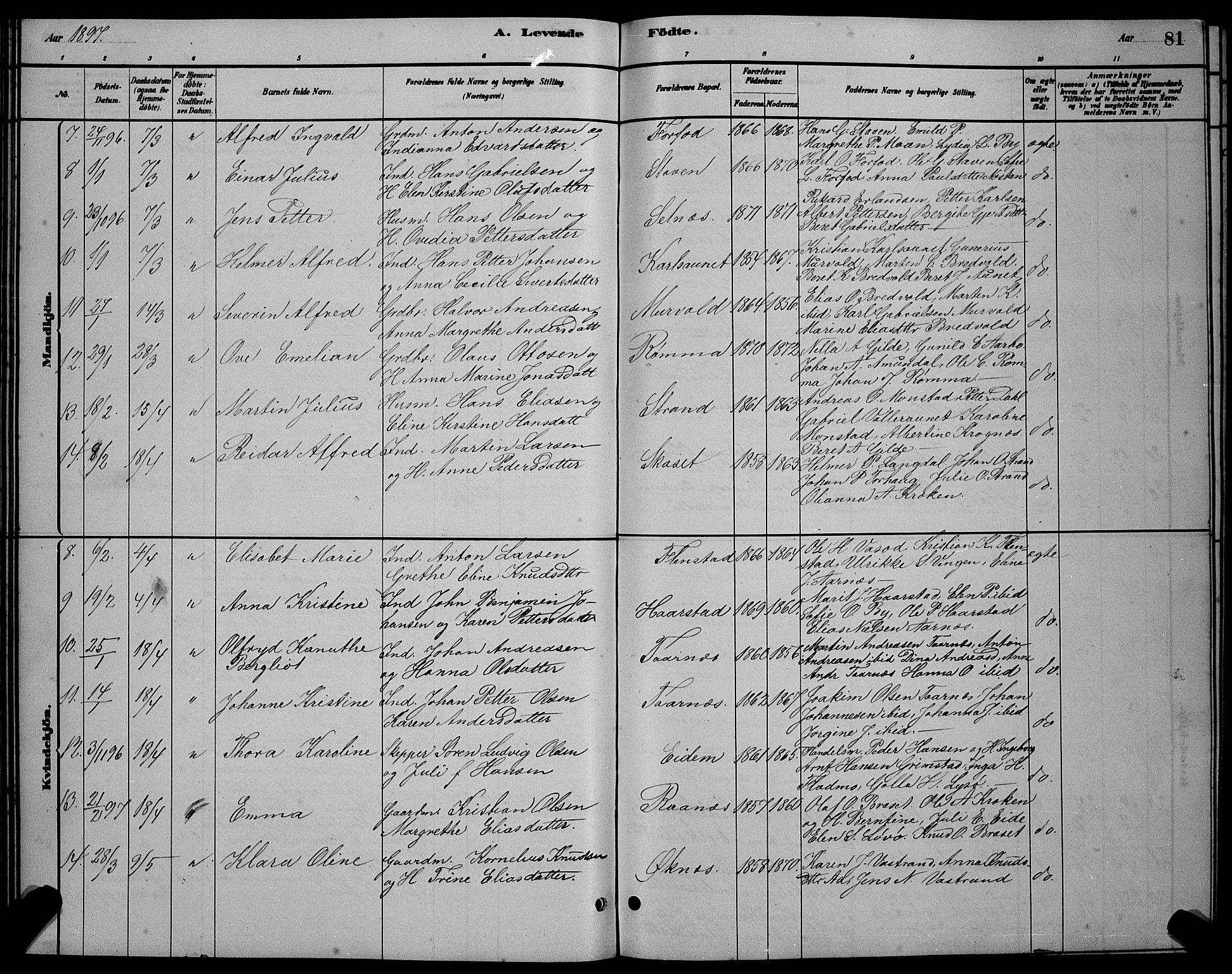 Ministerialprotokoller, klokkerbøker og fødselsregistre - Sør-Trøndelag, SAT/A-1456/655/L0687: Parish register (copy) no. 655C03, 1880-1898, p. 81
