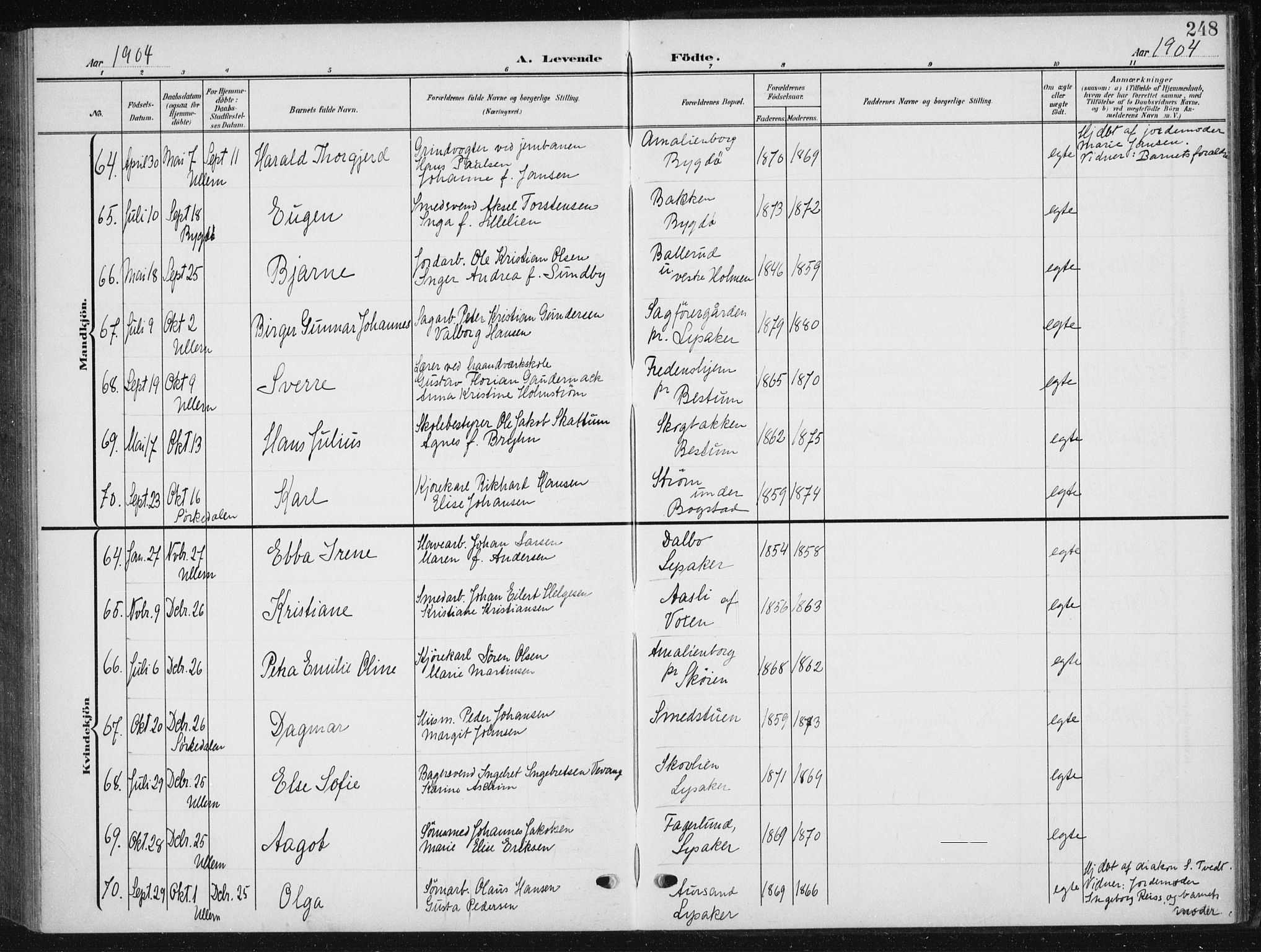 Vestre Aker prestekontor Kirkebøker, AV/SAO-A-10025/F/Fb/L0001: Parish register (official) no. II 1, 1880-1906, p. 248