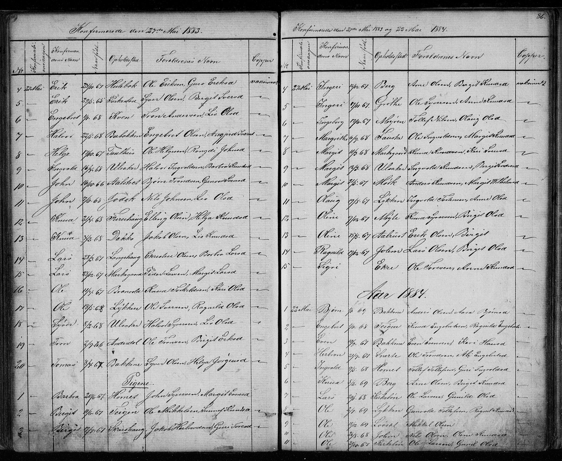 Gol kirkebøker, SAKO/A-226/G/Gb/L0005: Parish register (copy) no. II 5, 1875-1891, p. 86