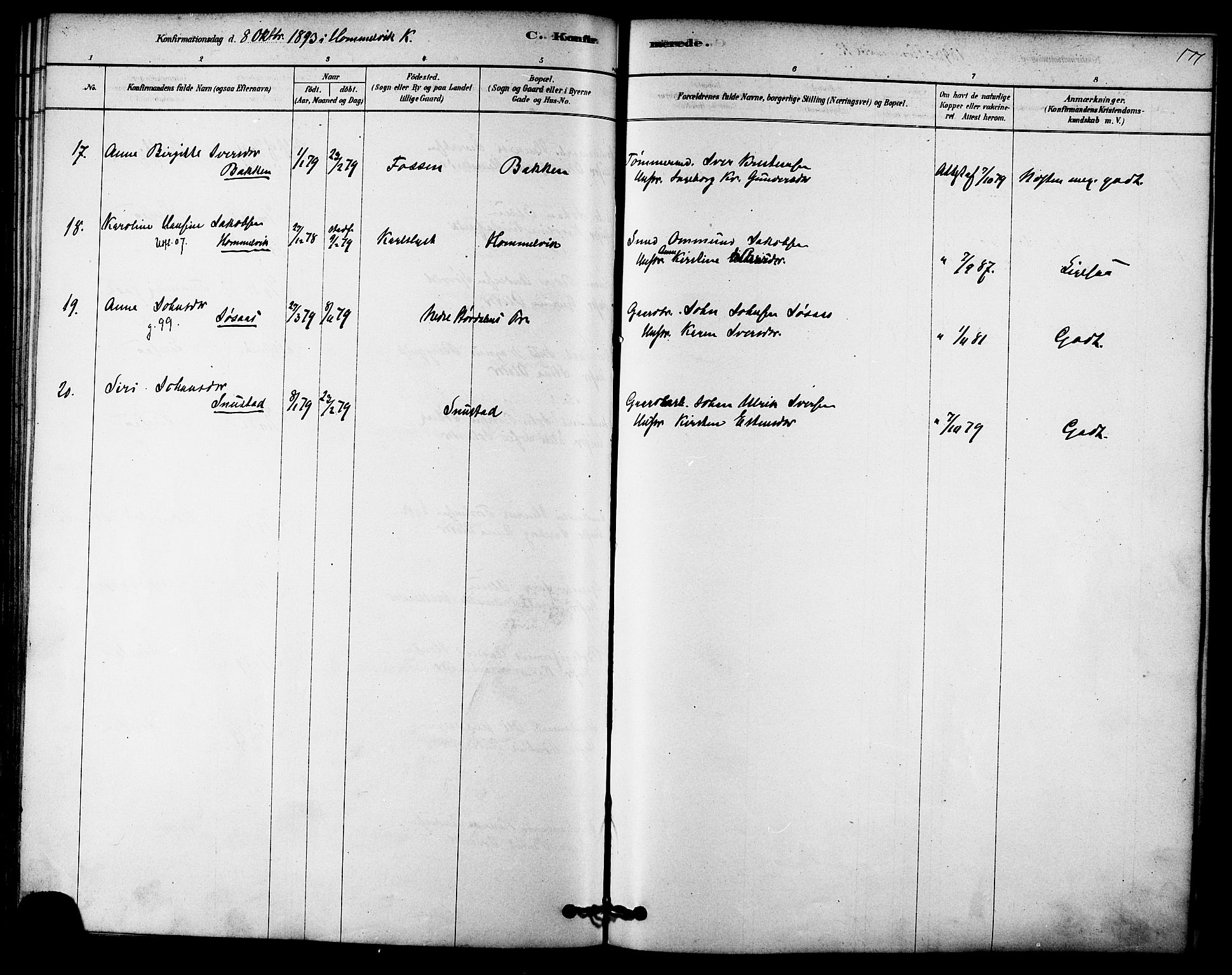 Ministerialprotokoller, klokkerbøker og fødselsregistre - Sør-Trøndelag, AV/SAT-A-1456/616/L0410: Parish register (official) no. 616A07, 1878-1893, p. 177