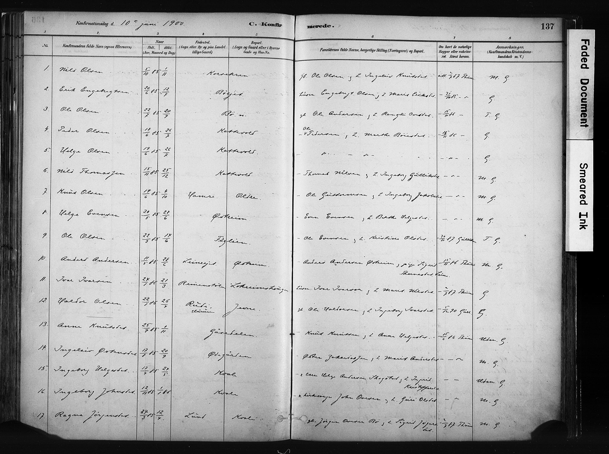 Vang prestekontor, Valdres, SAH/PREST-140/H/Ha/L0008: Parish register (official) no. 8, 1882-1910, p. 137