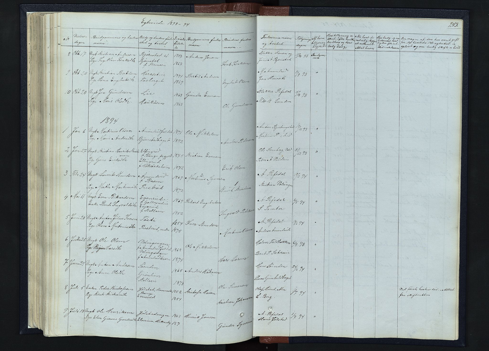 Romedal prestekontor, SAH/PREST-004/L/L0010: Parish register (copy) no. 10, 1860-1895, p. 243