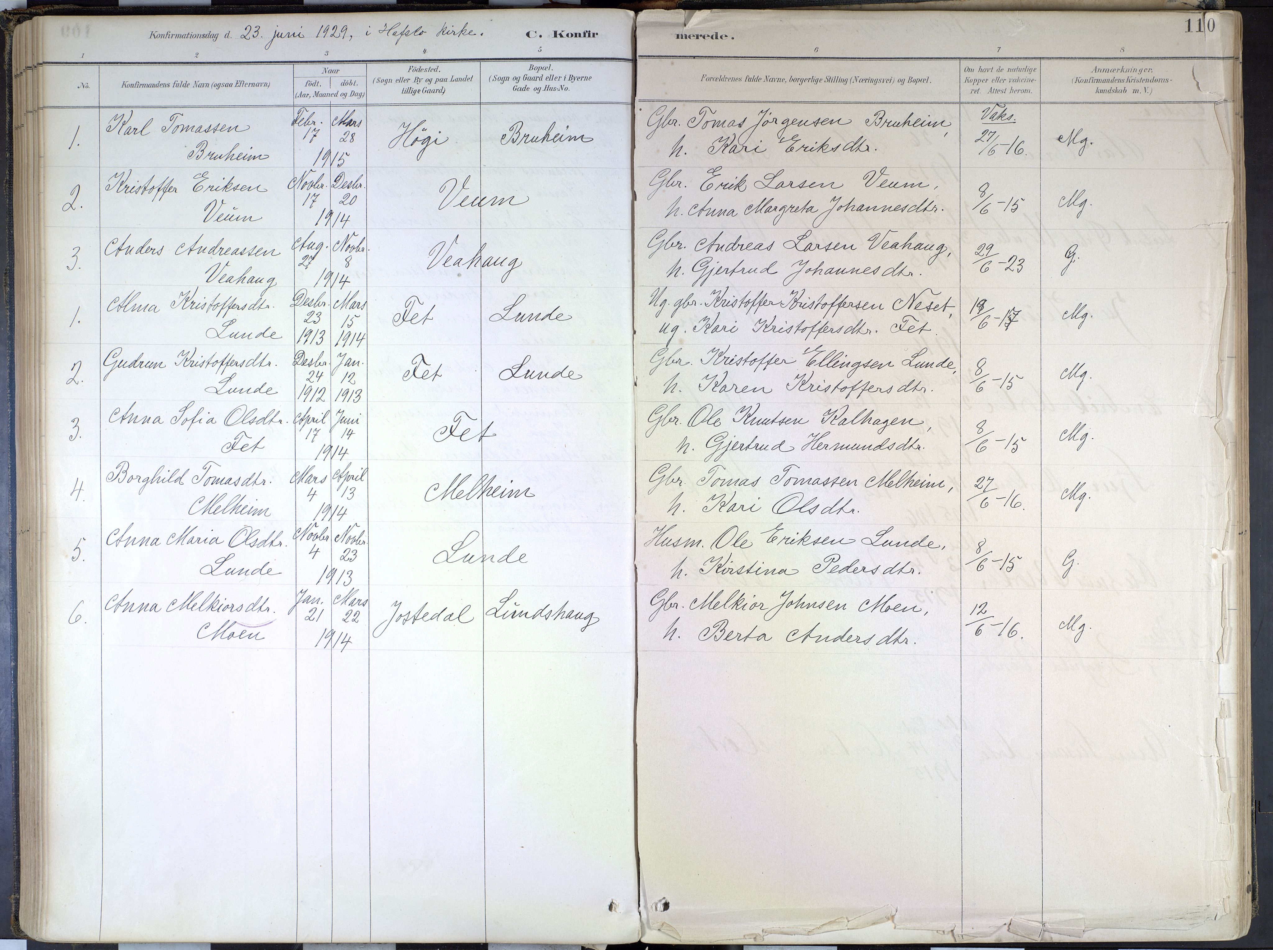 Hafslo sokneprestembete, SAB/A-80301/H/Haa/Haad/L0001: Parish register (official) no. D 1, 1886-1934, p. 110