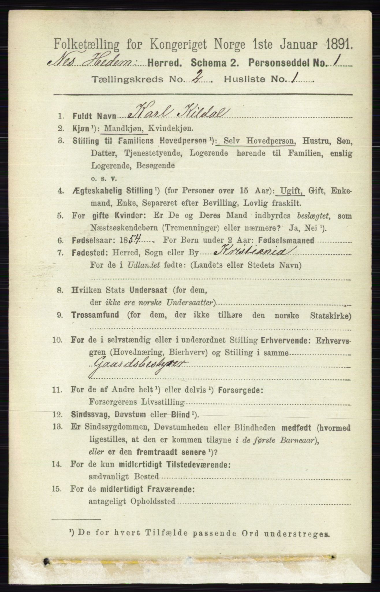 RA, 1891 census for 0411 Nes, 1891, p. 1072