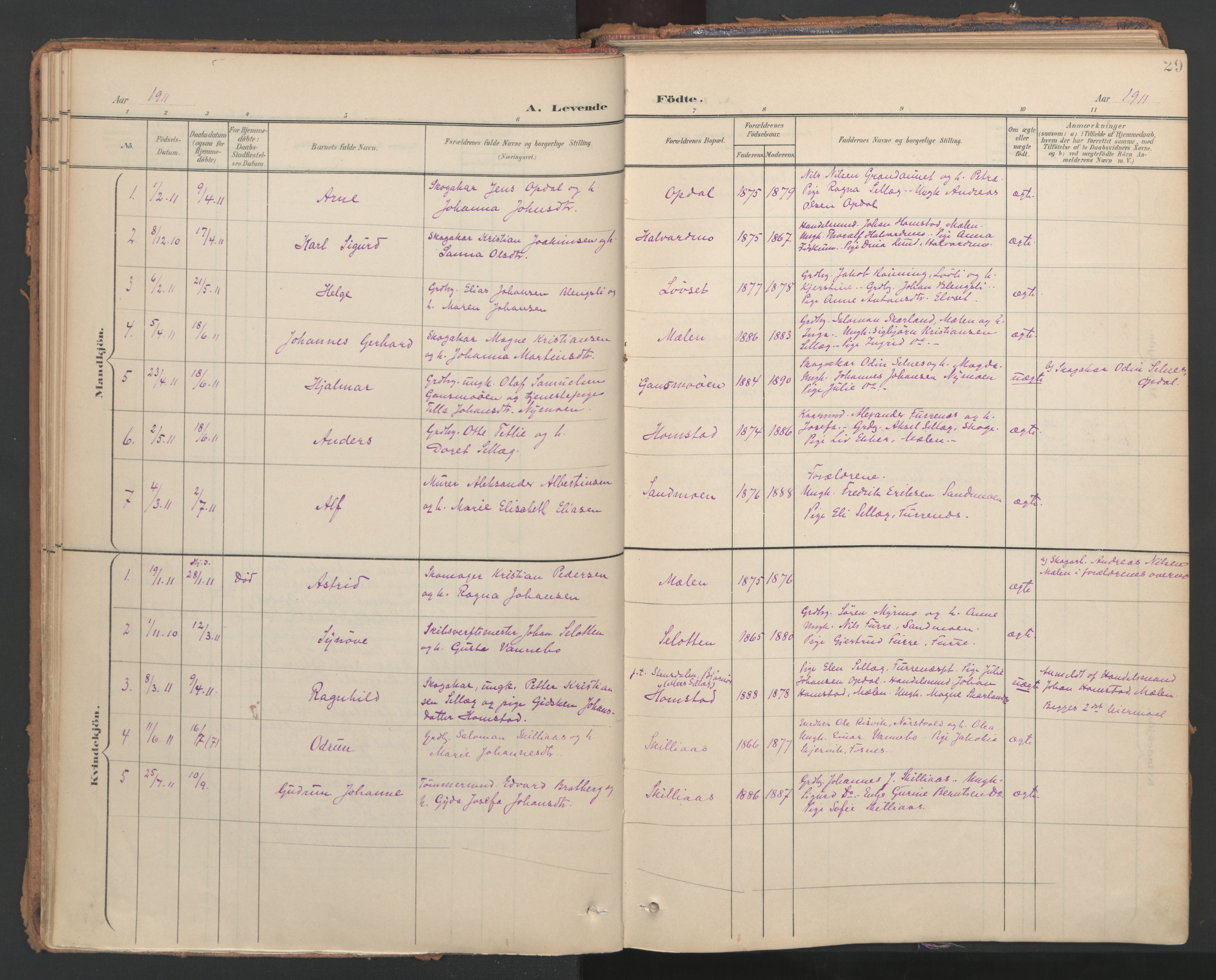 Ministerialprotokoller, klokkerbøker og fødselsregistre - Nord-Trøndelag, AV/SAT-A-1458/766/L0564: Parish register (official) no. 767A02, 1900-1932, p. 29