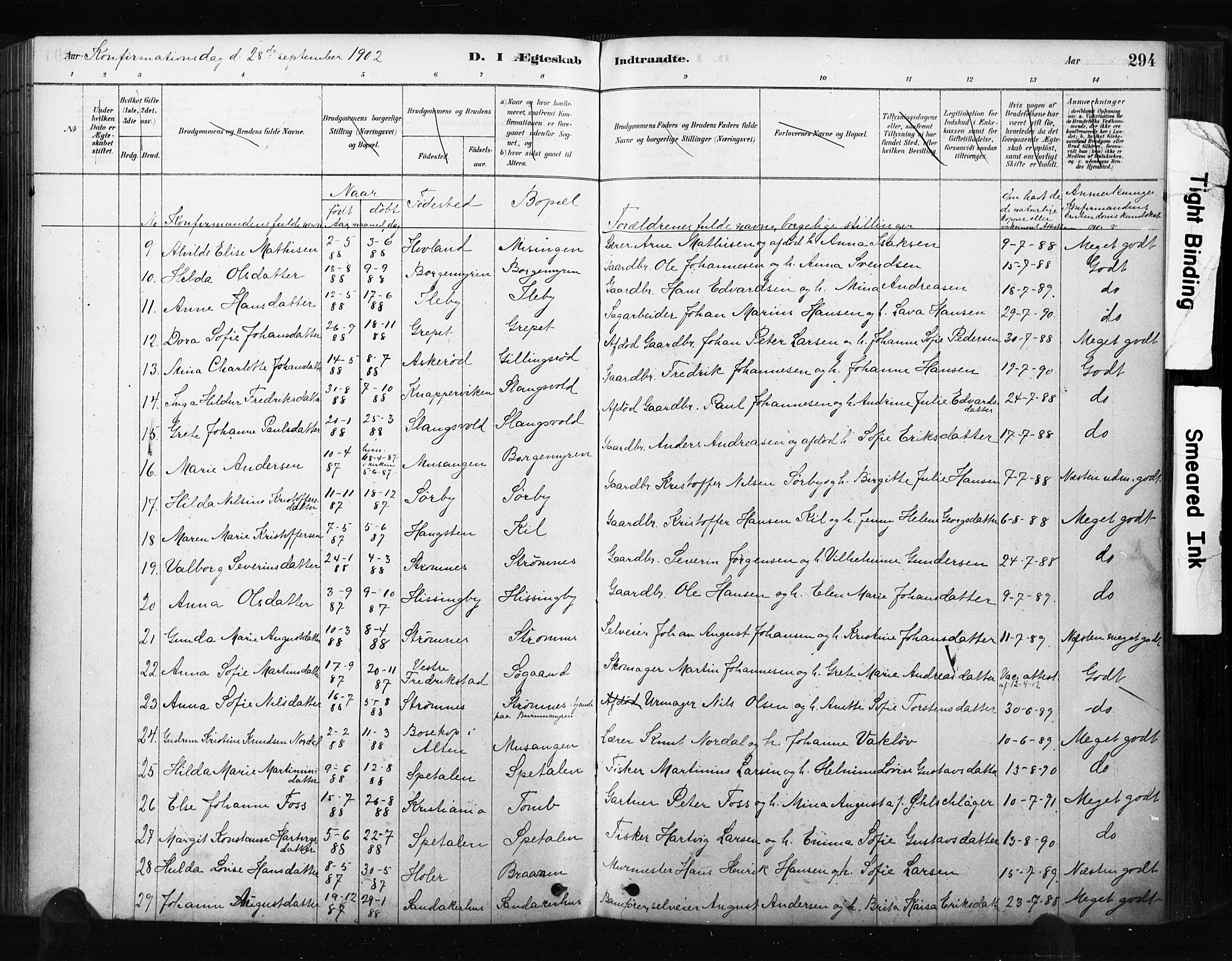 Råde prestekontor kirkebøker, AV/SAO-A-2009/F/Fa/L0007: Parish register (official) no. 7, 1878-1902, p. 294