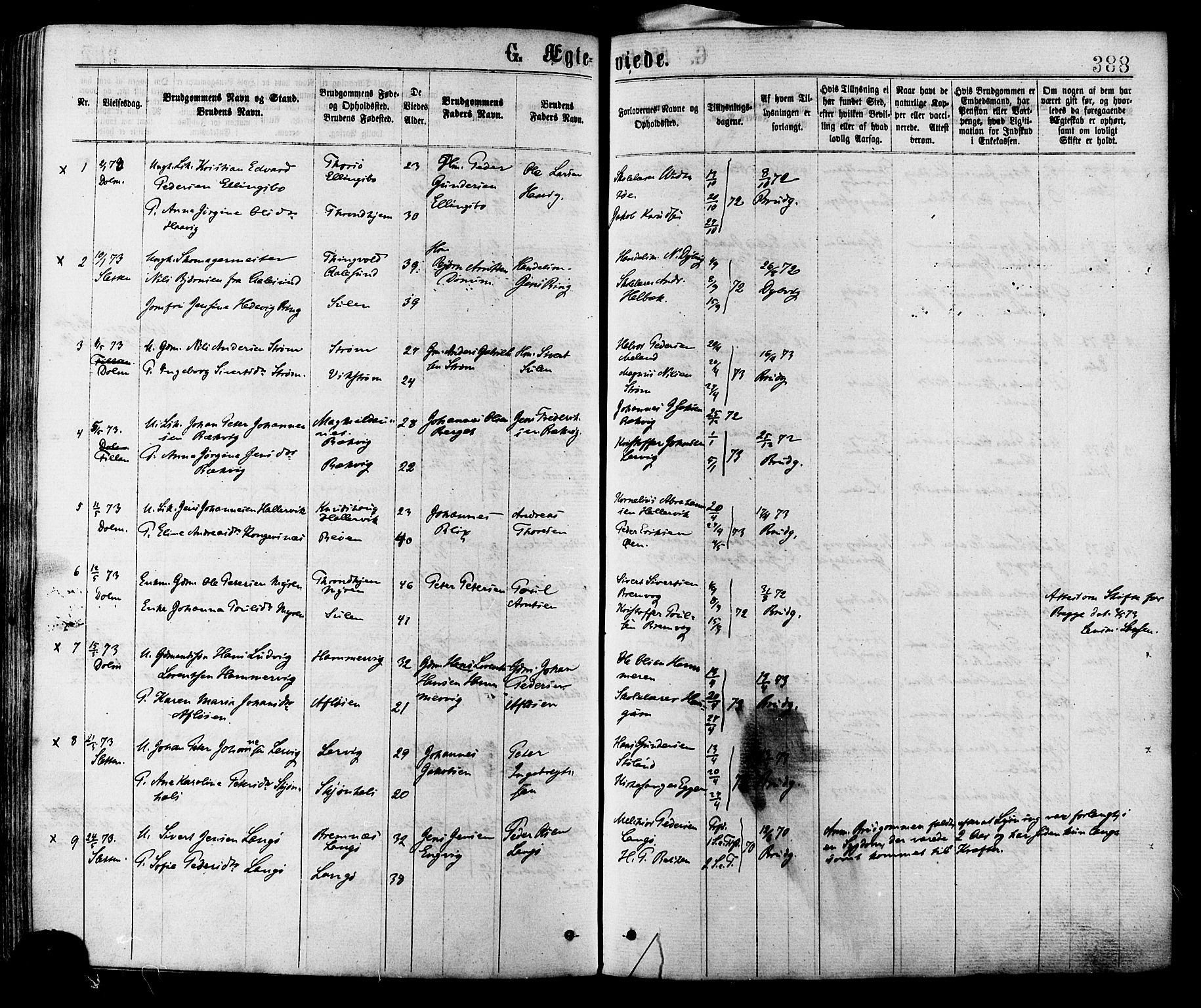 Ministerialprotokoller, klokkerbøker og fødselsregistre - Sør-Trøndelag, AV/SAT-A-1456/634/L0532: Parish register (official) no. 634A08, 1871-1881, p. 388