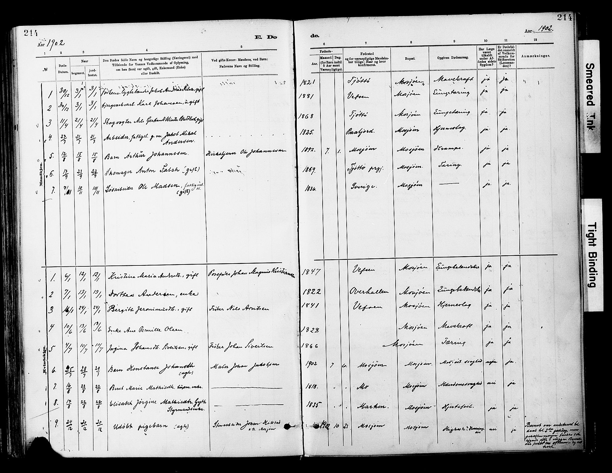 Ministerialprotokoller, klokkerbøker og fødselsregistre - Nordland, AV/SAT-A-1459/820/L0296: Parish register (official) no. 820A17, 1880-1903, p. 214