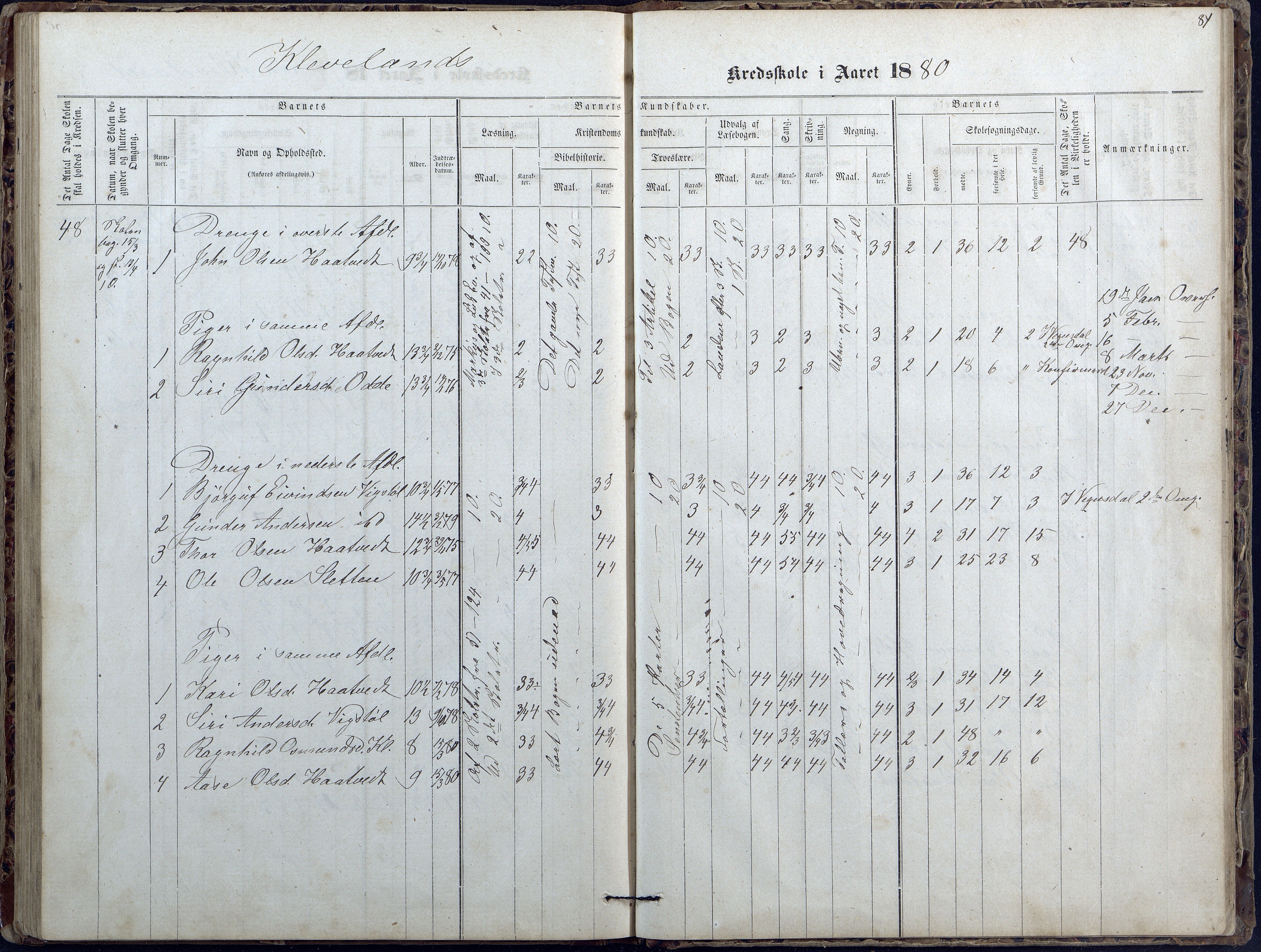 Evje kommune, Ånesland/Omland/Kleveland skolekrets, AAKS/KA0937-550f/F2/L0002: Protokoll for faste skoler i Aaneland, Kleveland og Omland kreds, 1863-1888, p. 81