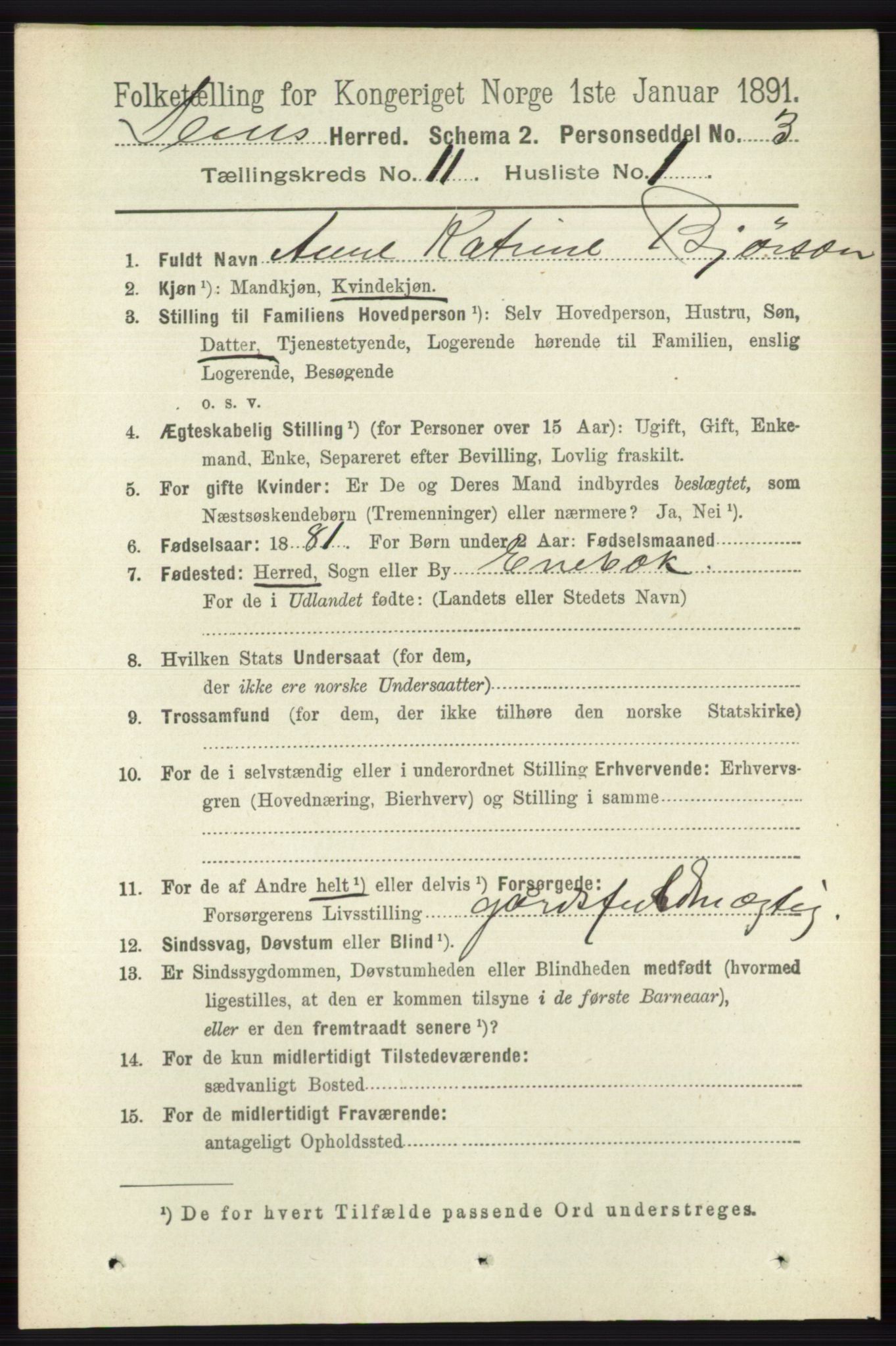 RA, 1891 census for 0721 Sem, 1891, p. 5352