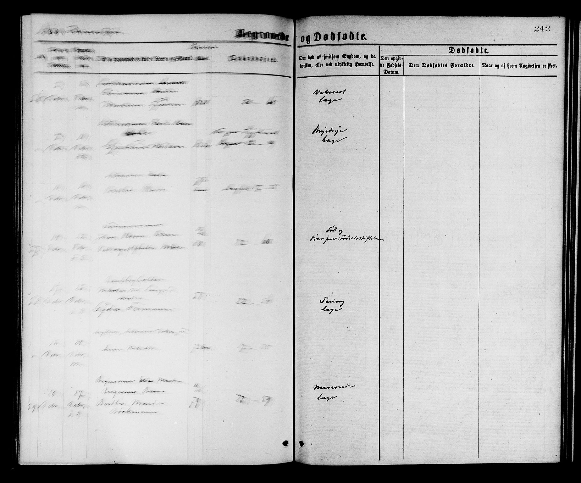 Korskirken sokneprestembete, SAB/A-76101/H/Hab: Parish register (copy) no. E 3, 1871-1883, p. 242