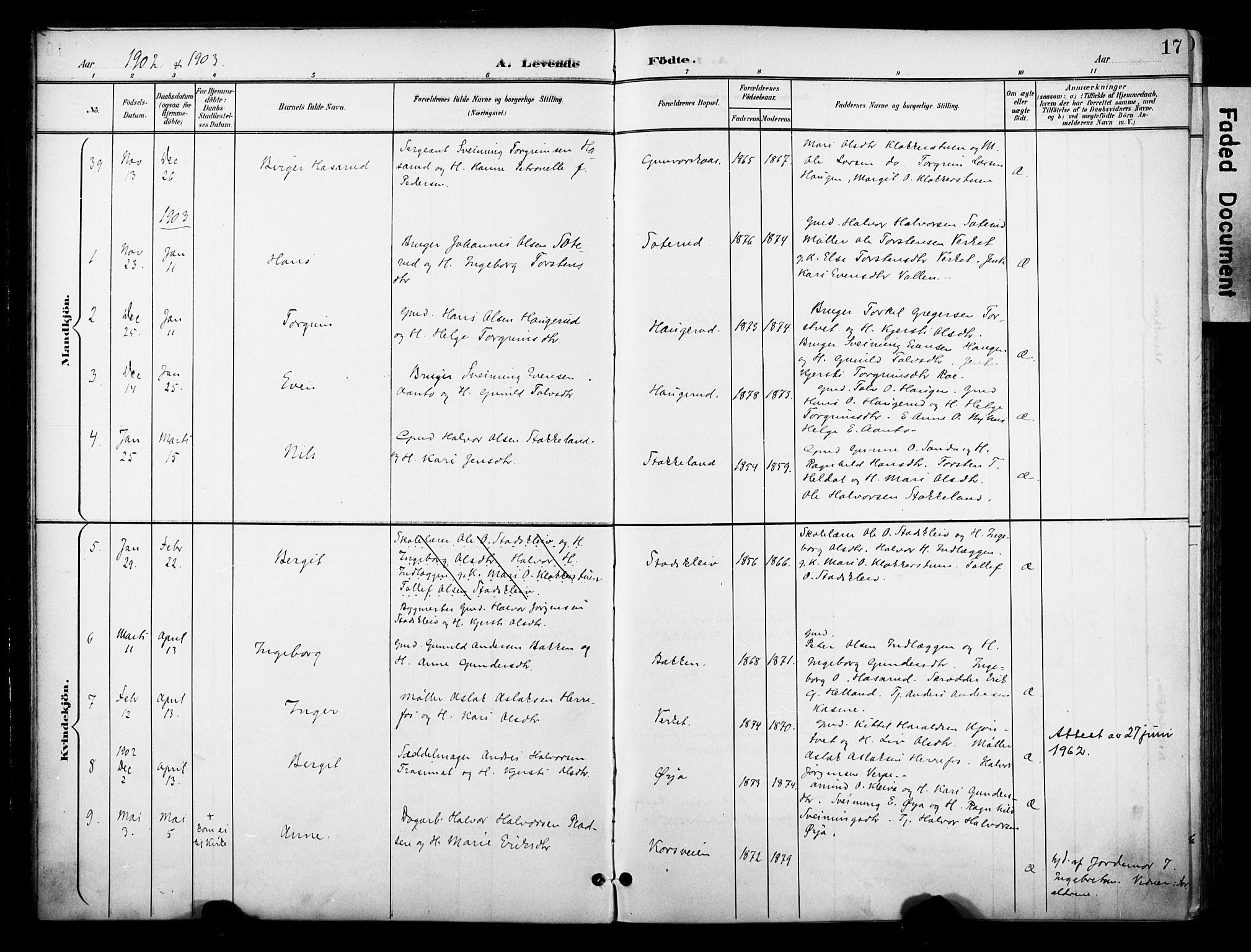 Bø kirkebøker, SAKO/A-257/F/Fa/L0012: Parish register (official) no. 12, 1900-1908, p. 17