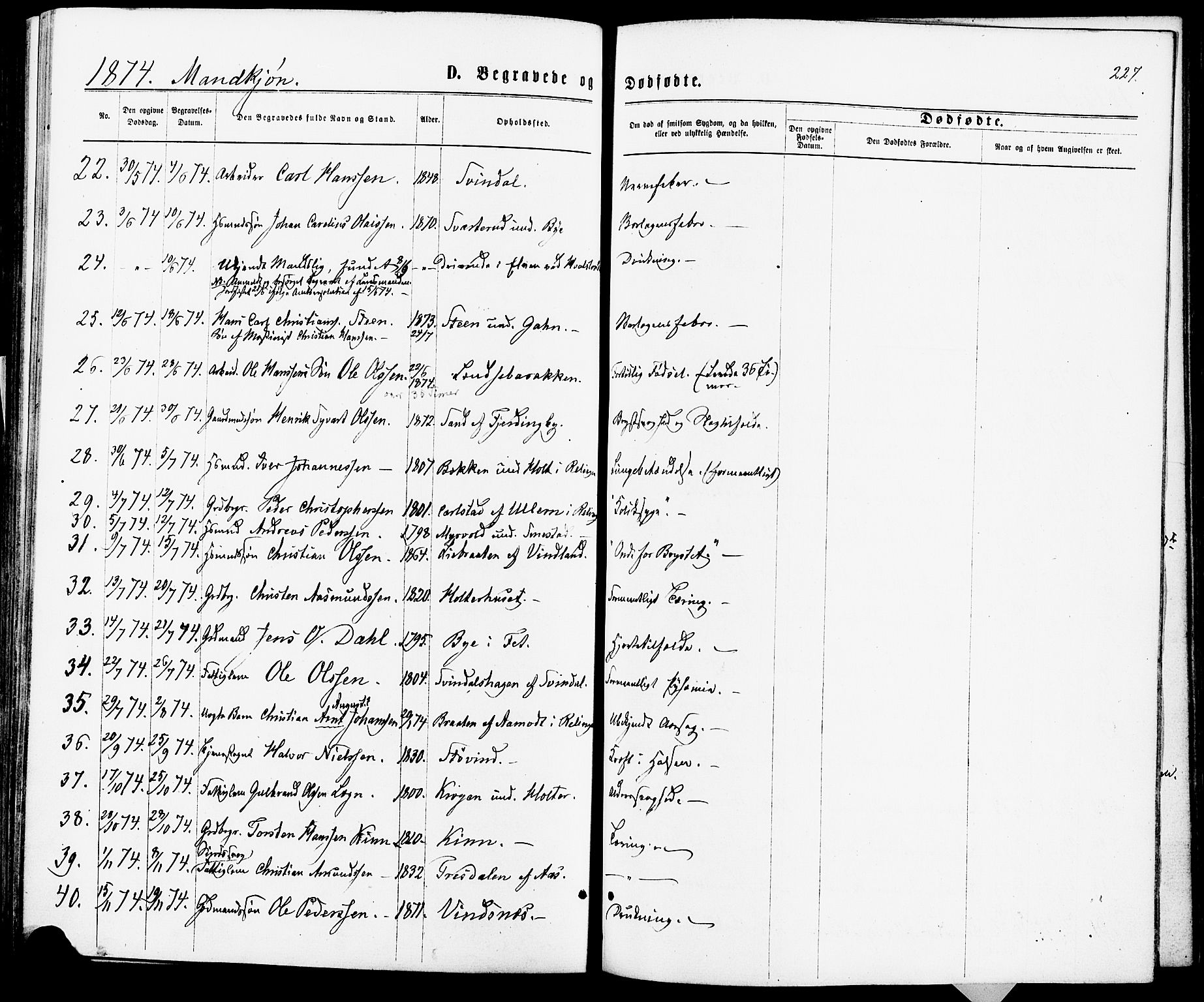 Fet prestekontor Kirkebøker, AV/SAO-A-10370a/F/Fa/L0013: Parish register (official) no. I 13, 1867-1877, p. 227