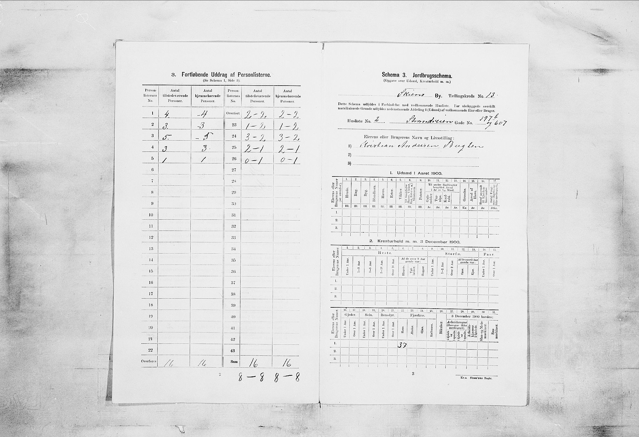 SAKO, 1900 census for Skien, 1900, p. 2113