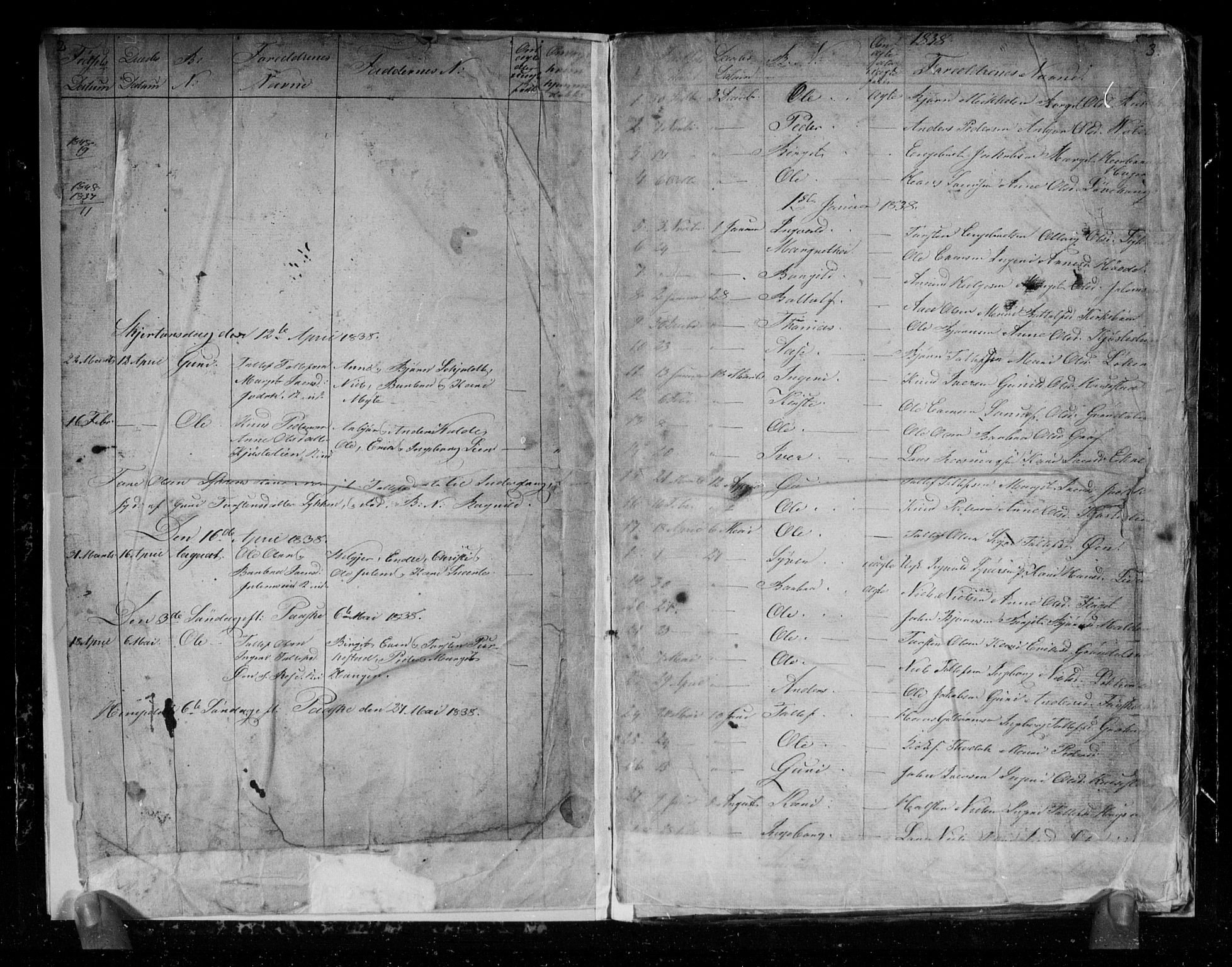 Gol kirkebøker, SAKO/A-226/G/Gb/L0002: Parish register (copy) no. II 2, 1838-1844, p. 2-3