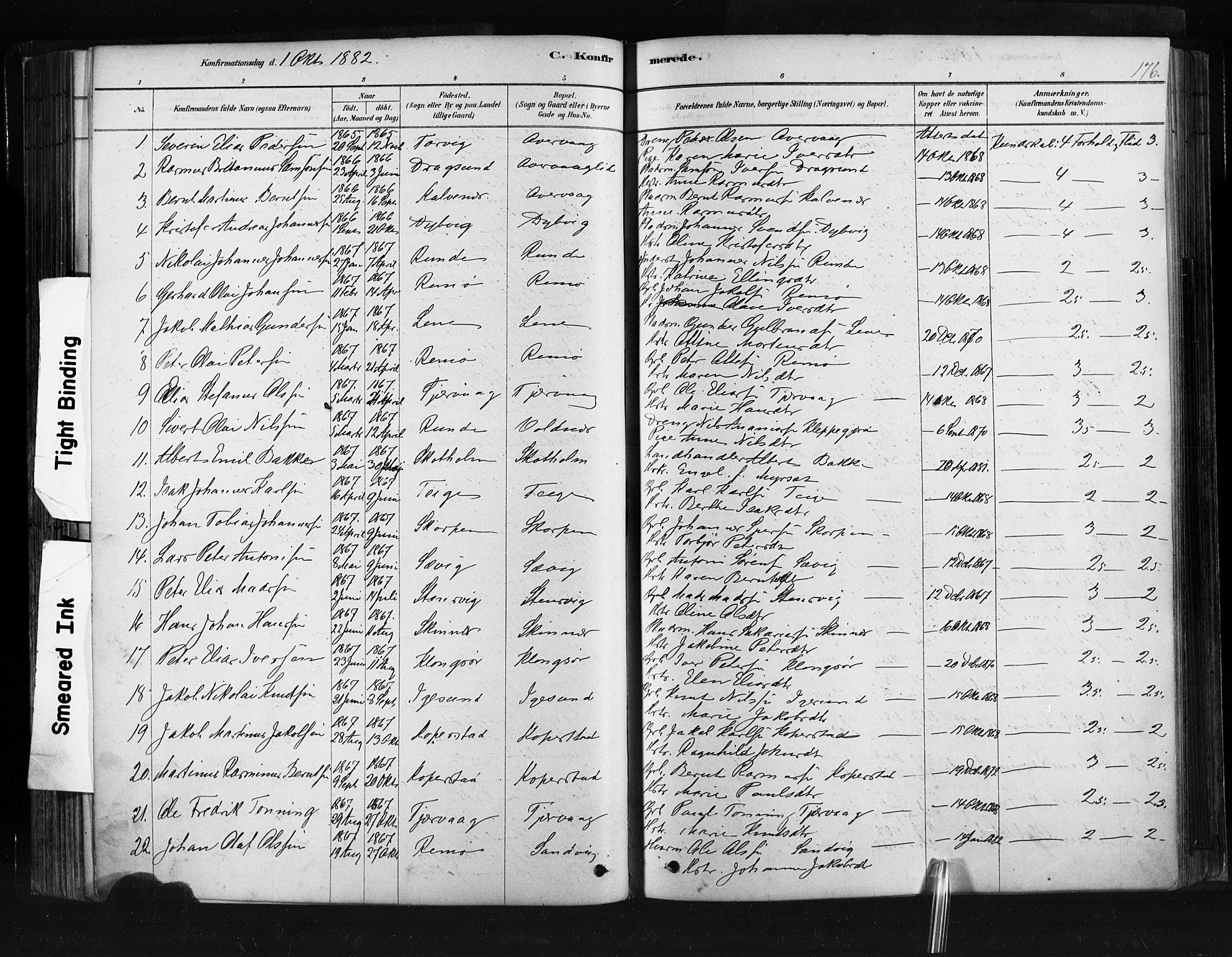 Ministerialprotokoller, klokkerbøker og fødselsregistre - Møre og Romsdal, AV/SAT-A-1454/507/L0073: Parish register (official) no. 507A08, 1878-1904, p. 176