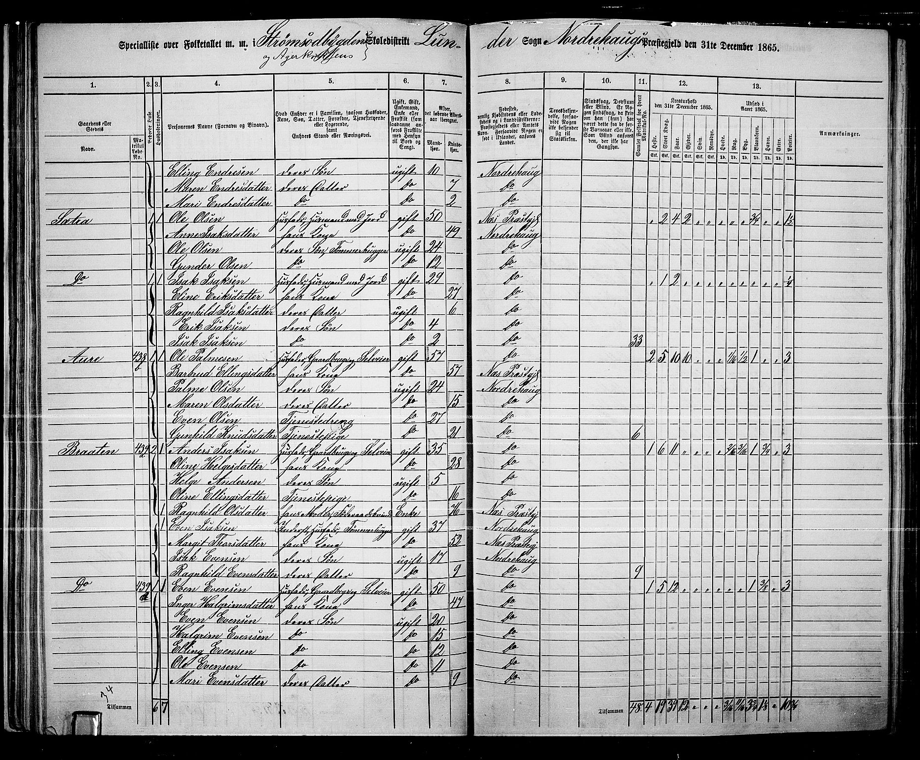 RA, 1865 census for Norderhov/Norderhov, Haug og Lunder, 1865, p. 54