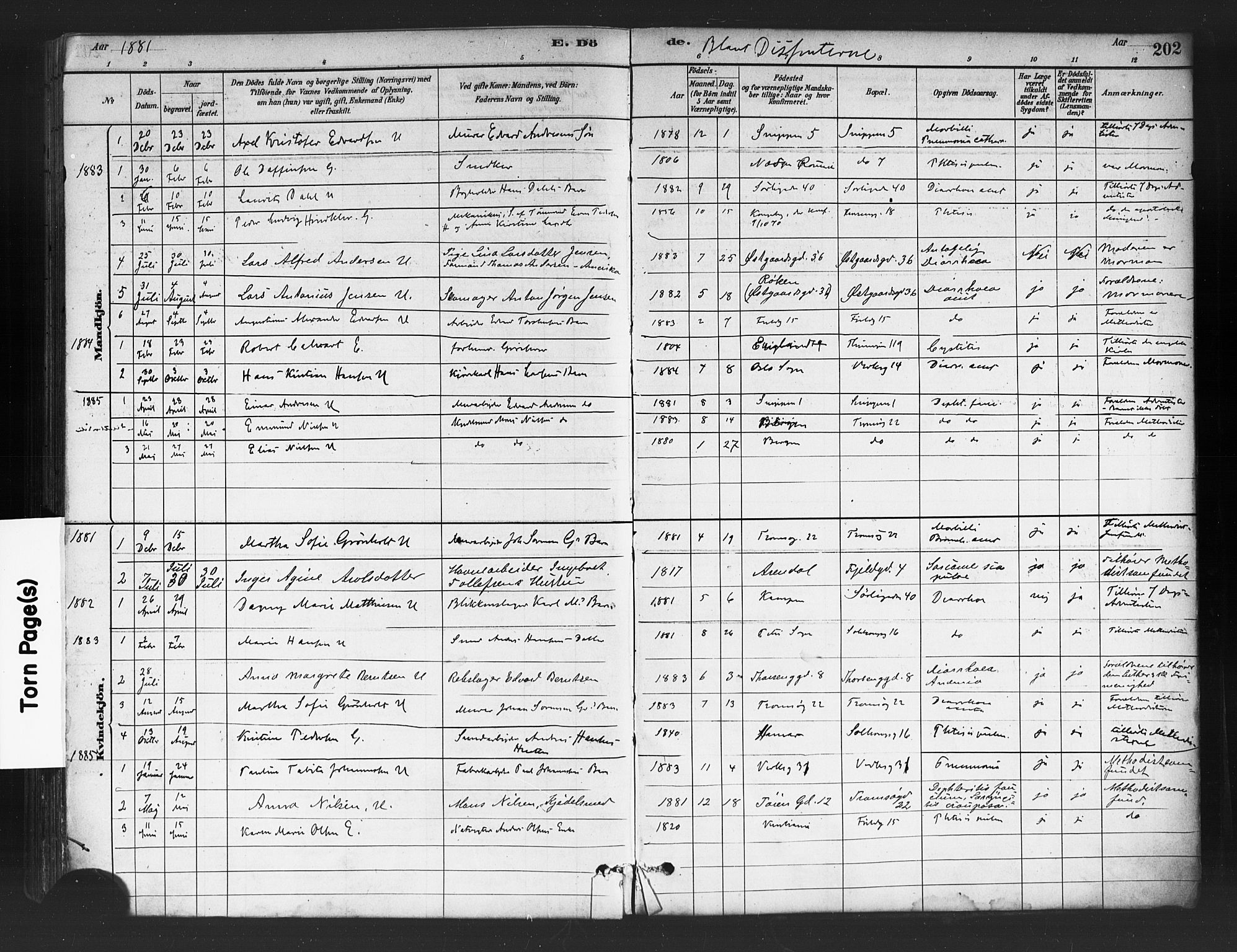 Petrus prestekontor Kirkebøker, AV/SAO-A-10872/F/Fa/L0002: Parish register (official) no. I 2, 1881-1896, p. 202