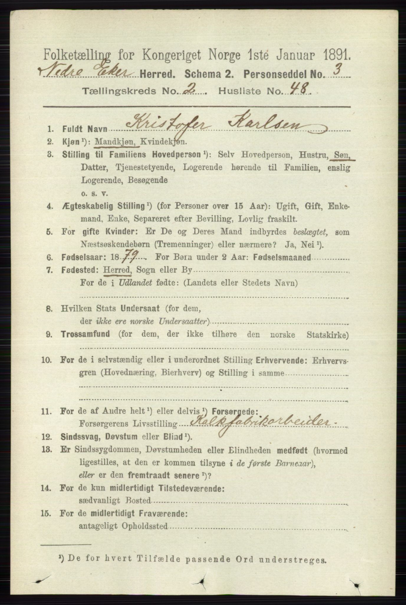 RA, 1891 census for 0625 Nedre Eiker, 1891, p. 806