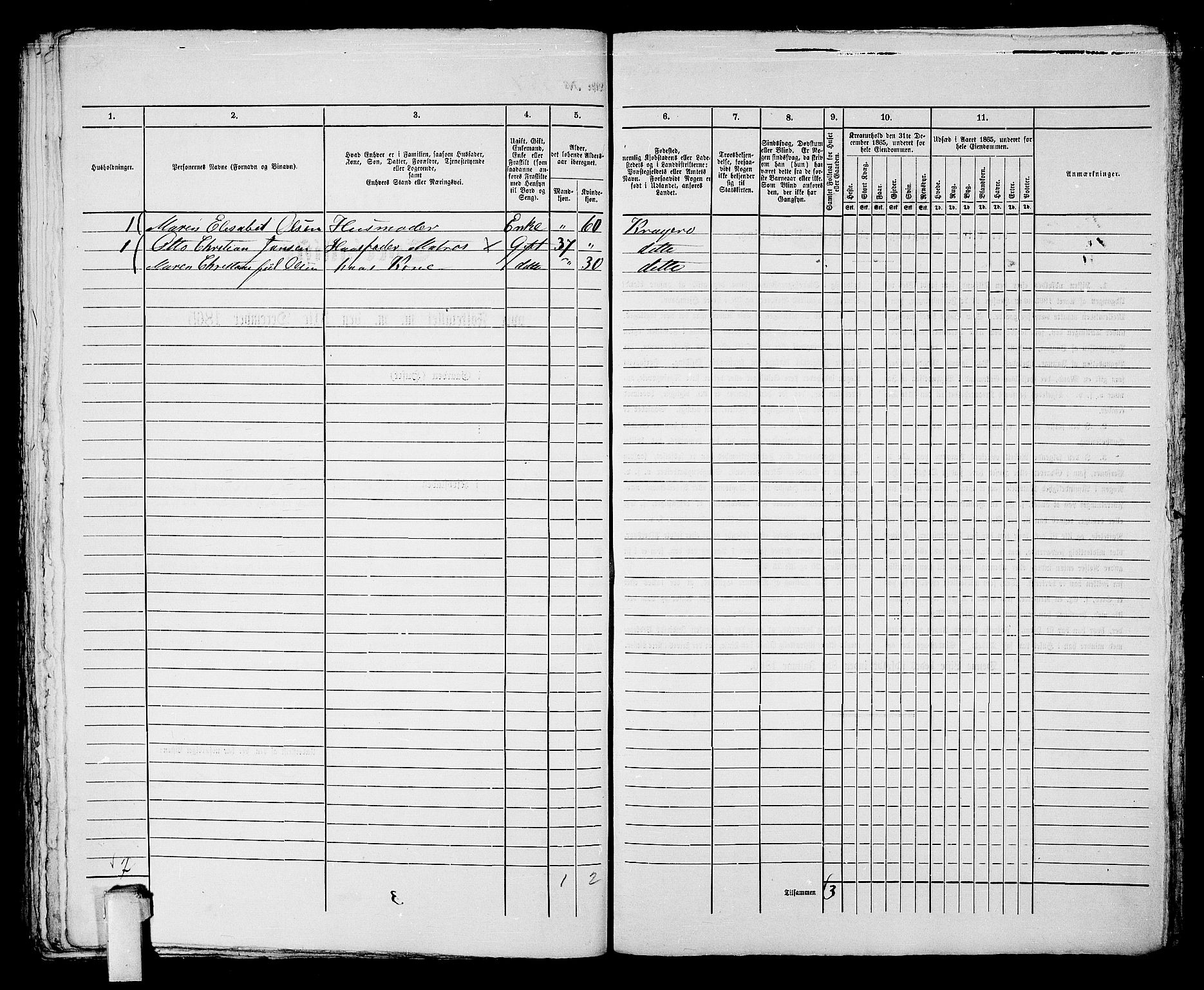 RA, 1865 census for Kragerø/Kragerø, 1865, p. 1119