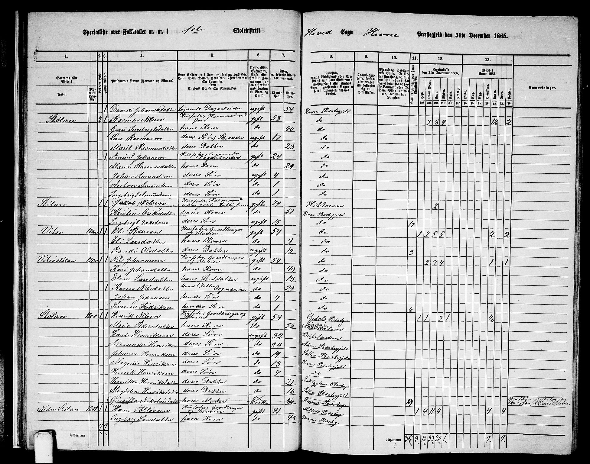 RA, 1865 census for Hemne, 1865, p. 31