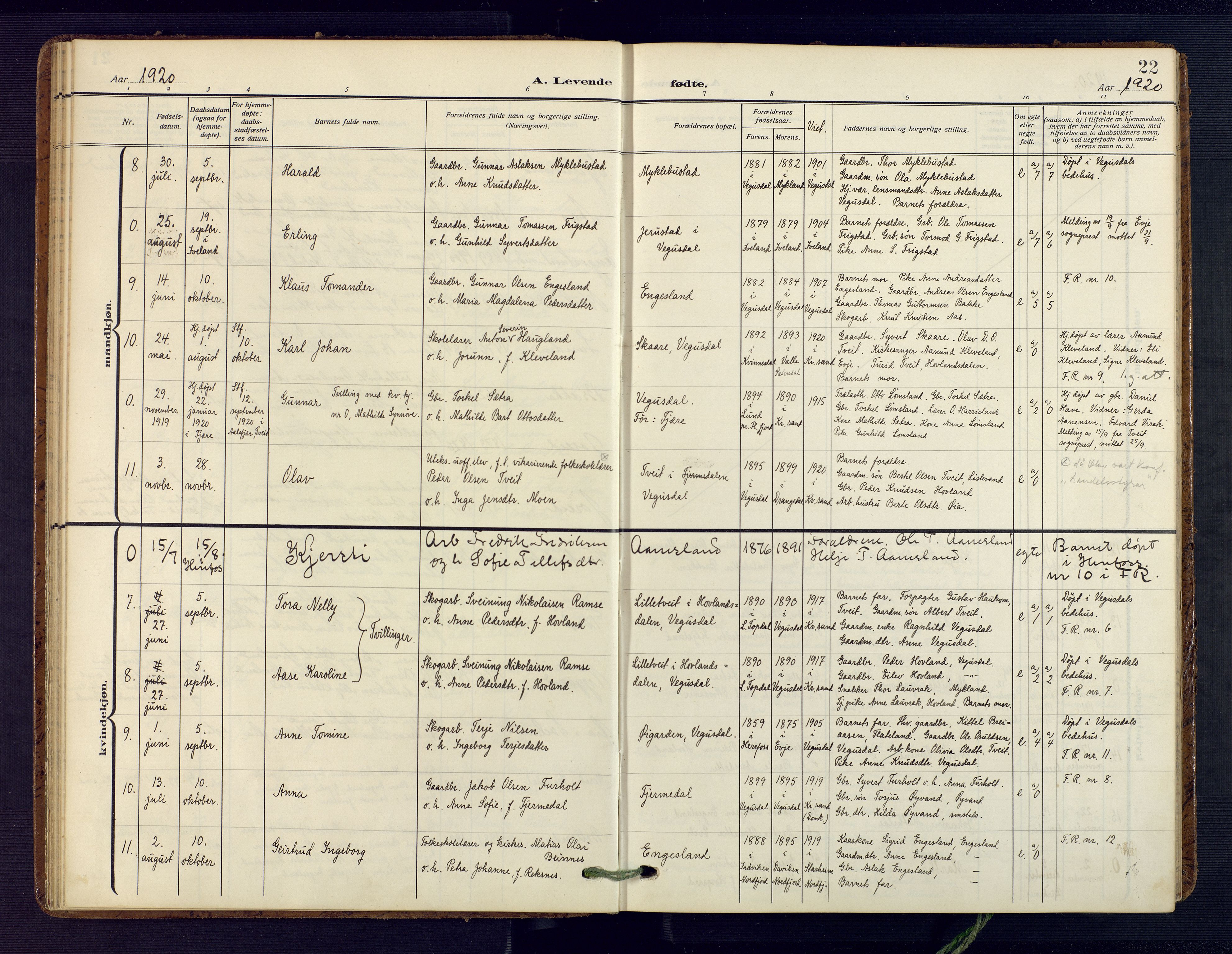 Herefoss sokneprestkontor, AV/SAK-1111-0019/F/Fa/Fab/L0005: Parish register (official) no. A 5, 1910-1932, p. 22