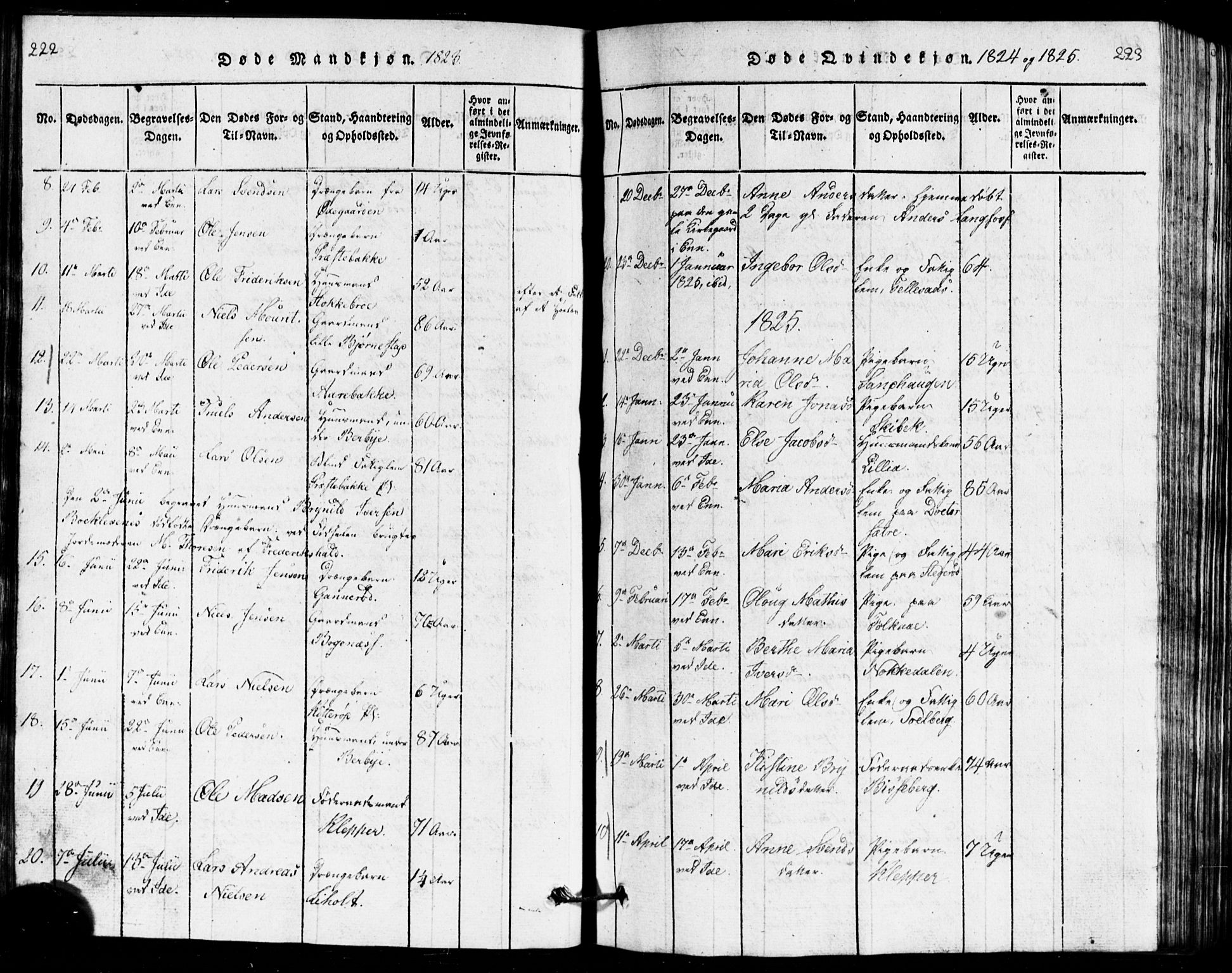 Idd prestekontor Kirkebøker, AV/SAO-A-10911/G/Ga/L0001: Parish register (copy) no. I 1, 1815-1826, p. 222-223