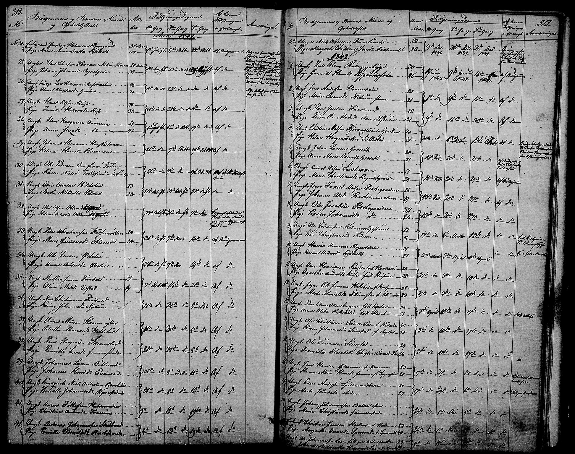 Østre Toten prestekontor, SAH/PREST-104/H/Ha/Hab/L0002: Parish register (copy) no. 2, 1840-1847, p. 313