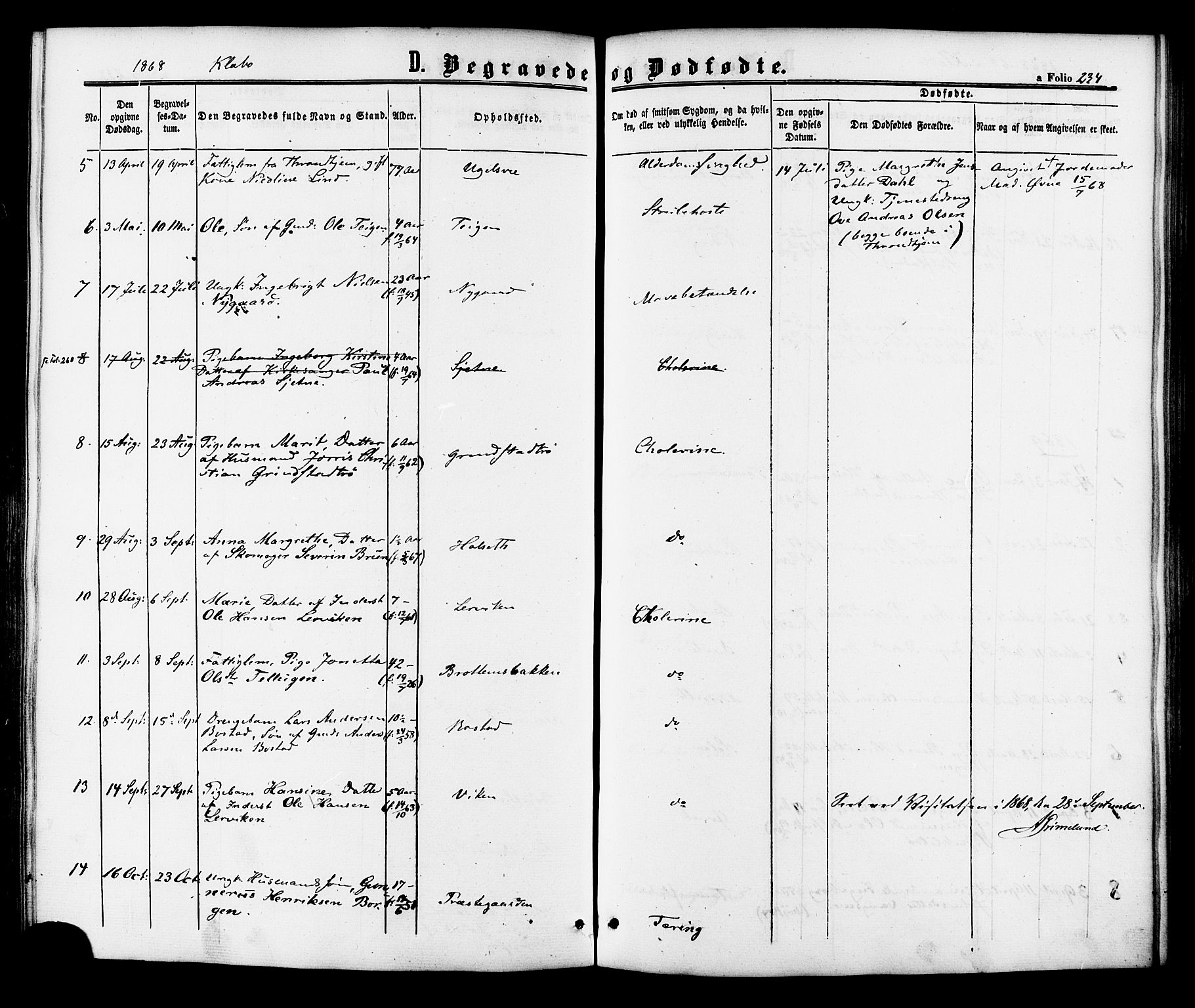 Ministerialprotokoller, klokkerbøker og fødselsregistre - Sør-Trøndelag, SAT/A-1456/618/L0442: Parish register (official) no. 618A06 /1, 1863-1879, p. 234