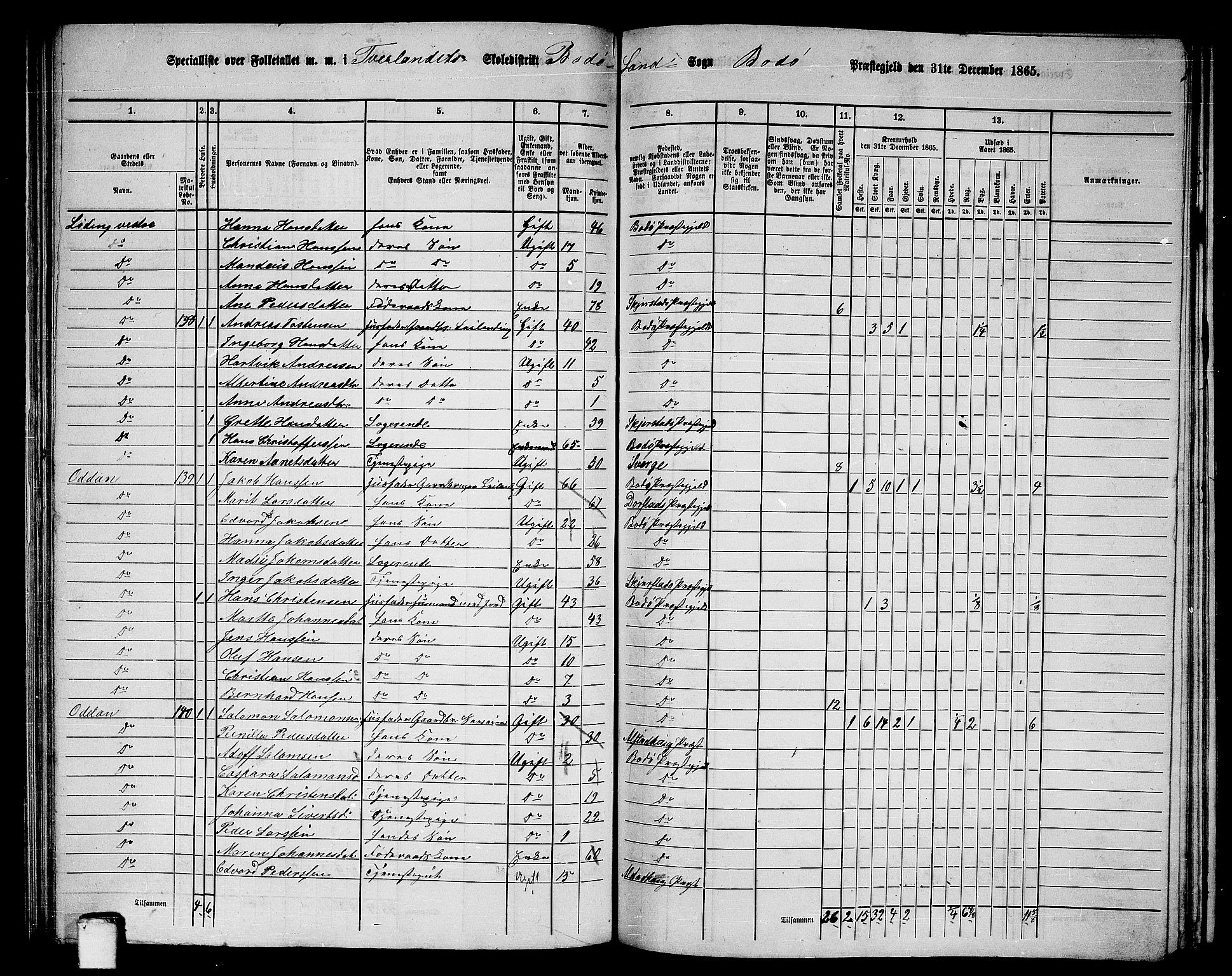 RA, 1865 census for Bodø/Bodø, 1865, p. 81