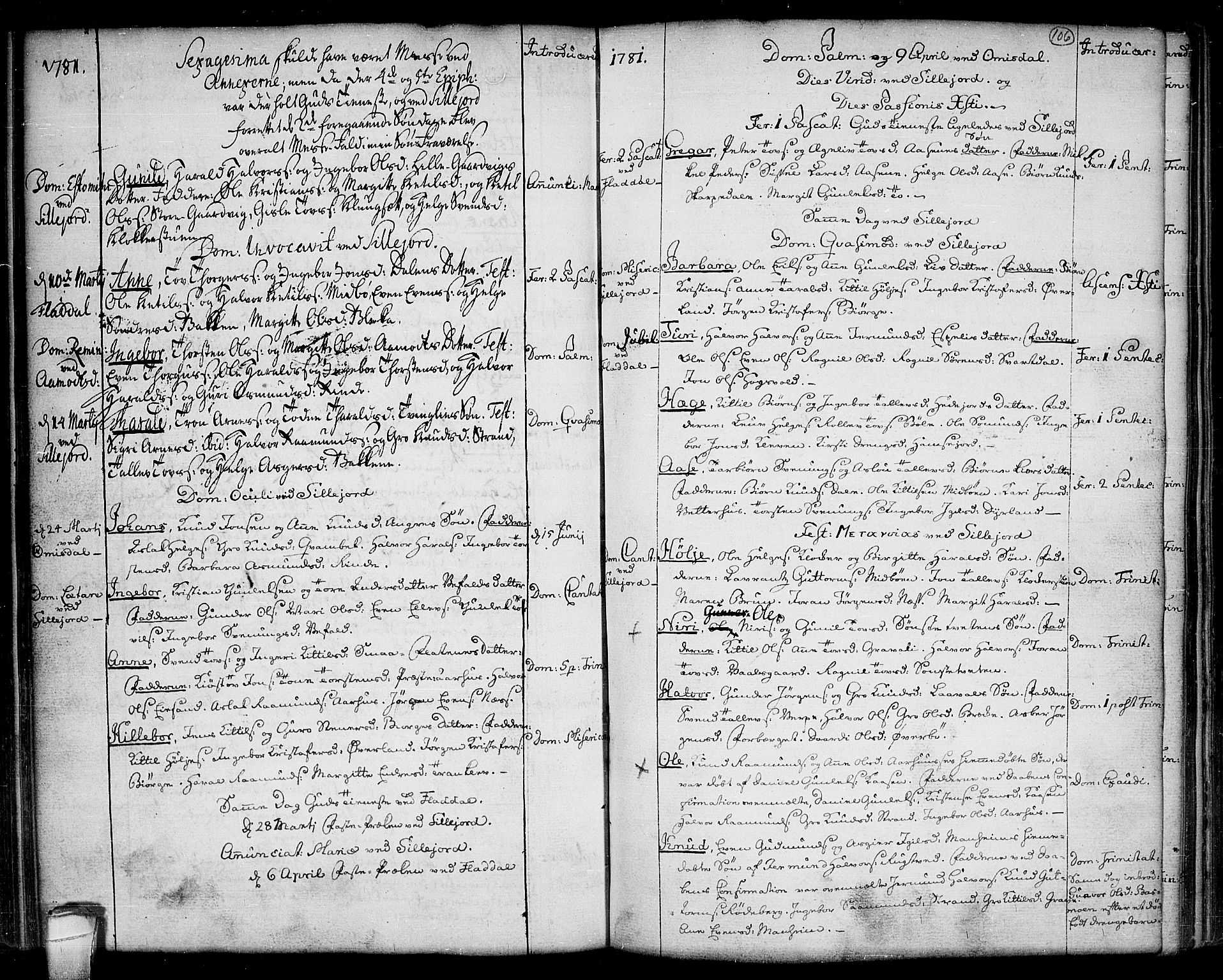 Seljord kirkebøker, SAKO/A-20/F/Fa/L0007: Parish register (official) no. I 7, 1755-1800, p. 106