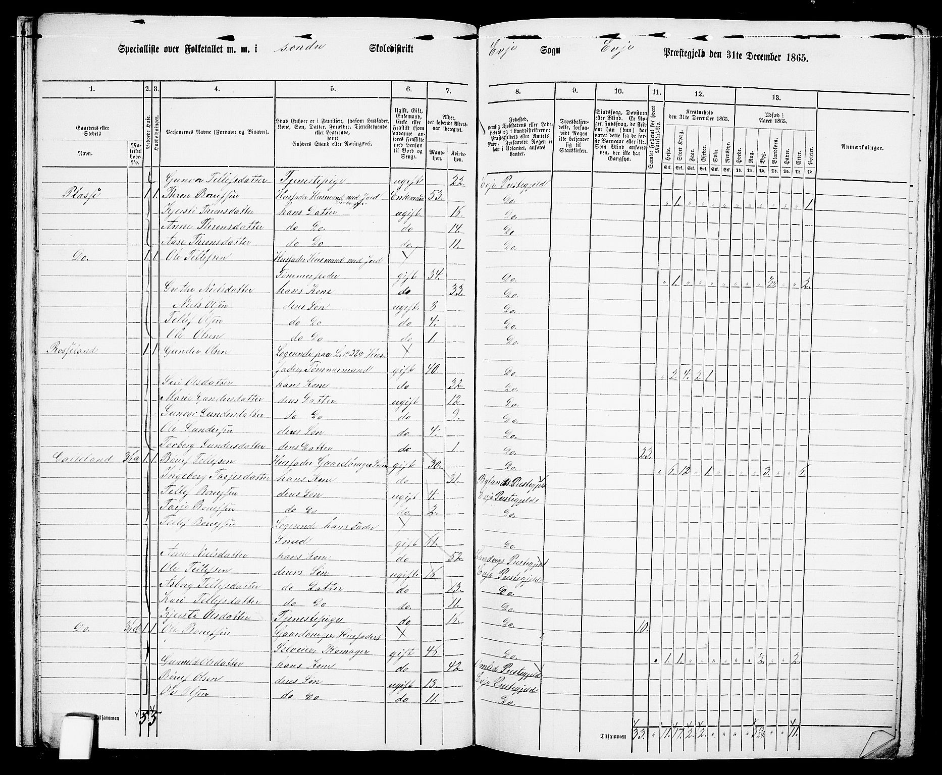 RA, 1865 census for Evje, 1865, p. 18