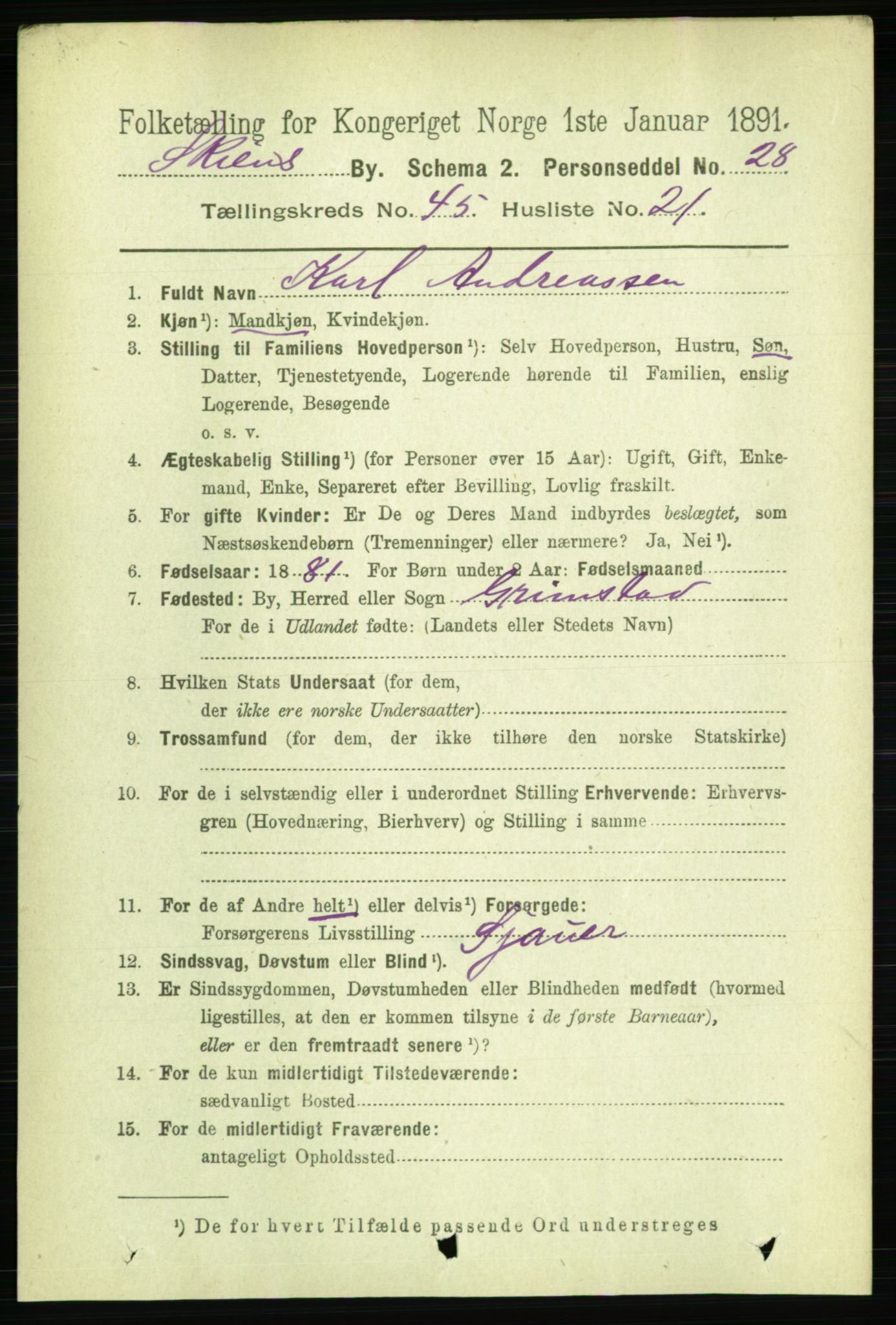 RA, 1891 census for 0806 Skien, 1891, p. 9131