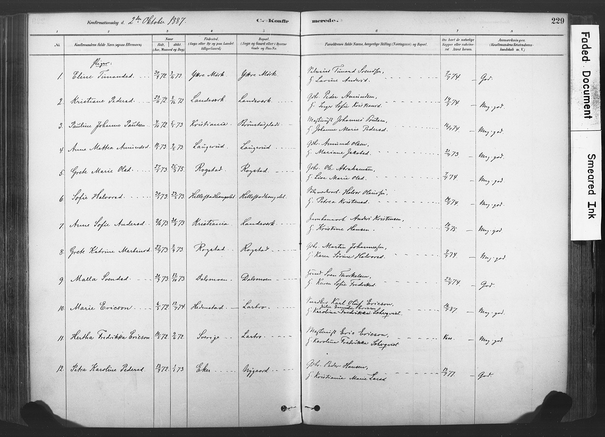Sandsvær kirkebøker, AV/SAKO-A-244/F/Fd/L0001: Parish register (official) no. IV 1, 1878-1906, p. 229