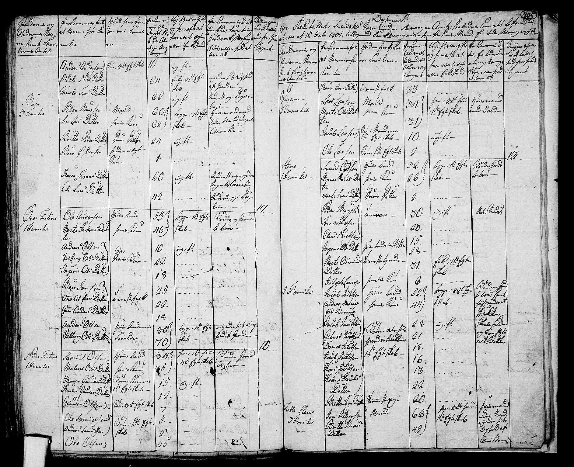 RA, 1801 census for 1134P Suldal, 1801, p. 404b-405a