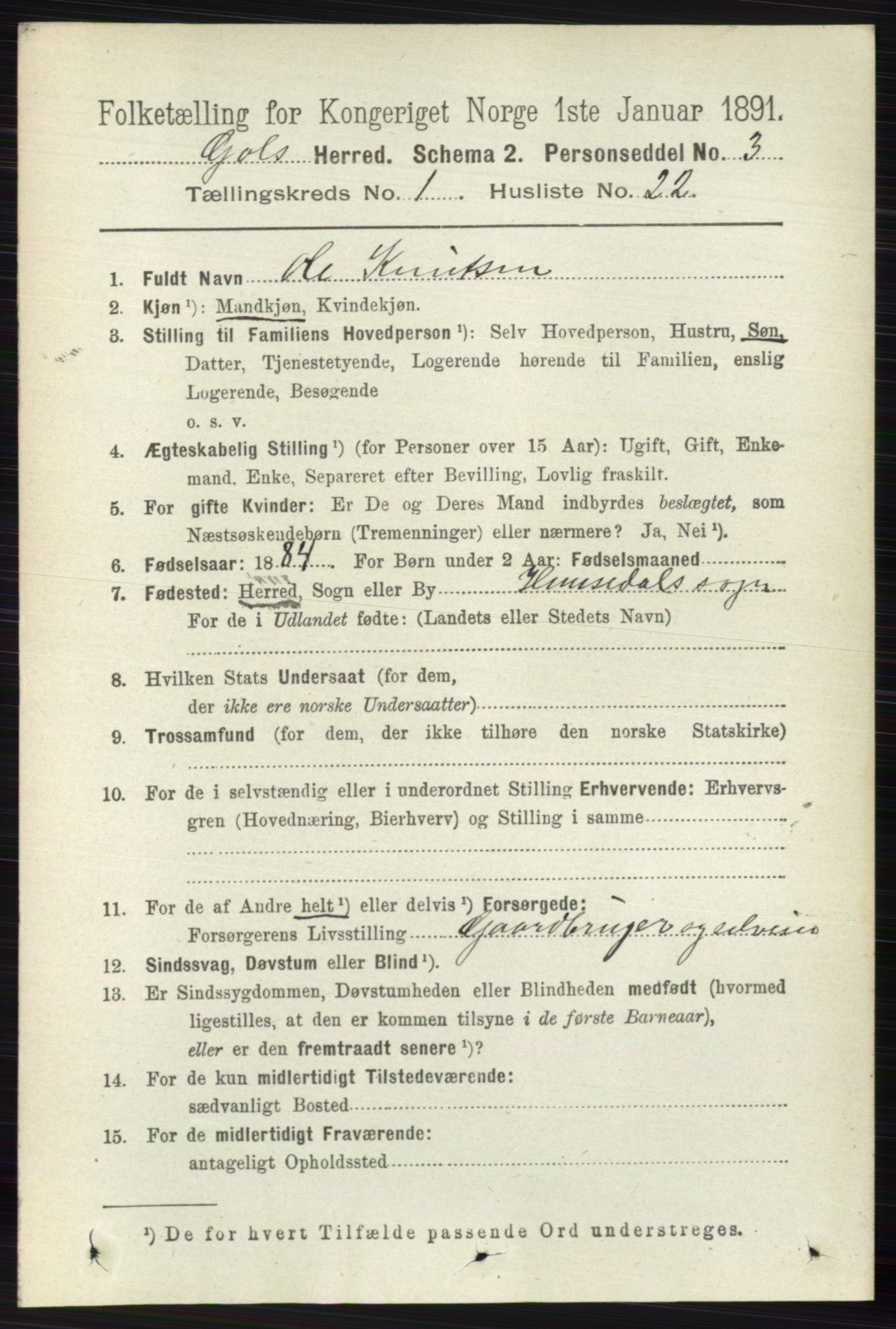 RA, 1891 census for 0617 Gol og Hemsedal, 1891, p. 221